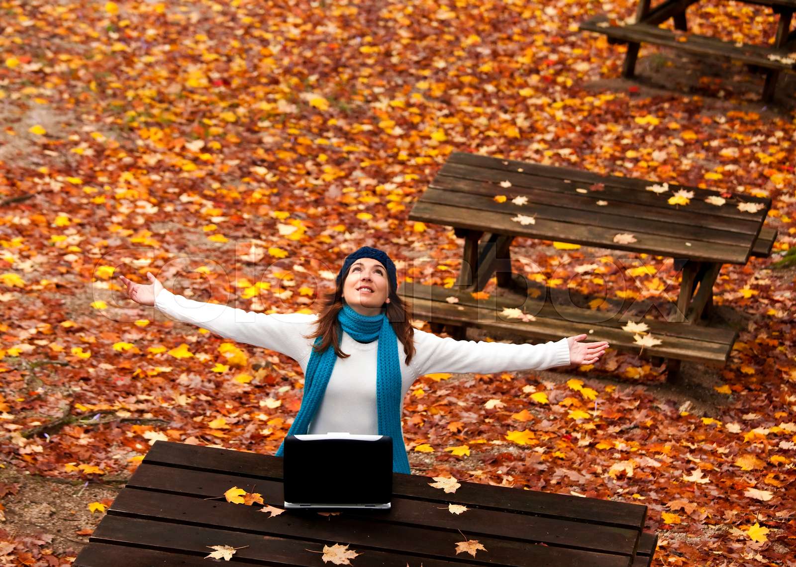 Happy work | Stock image | Colourbox