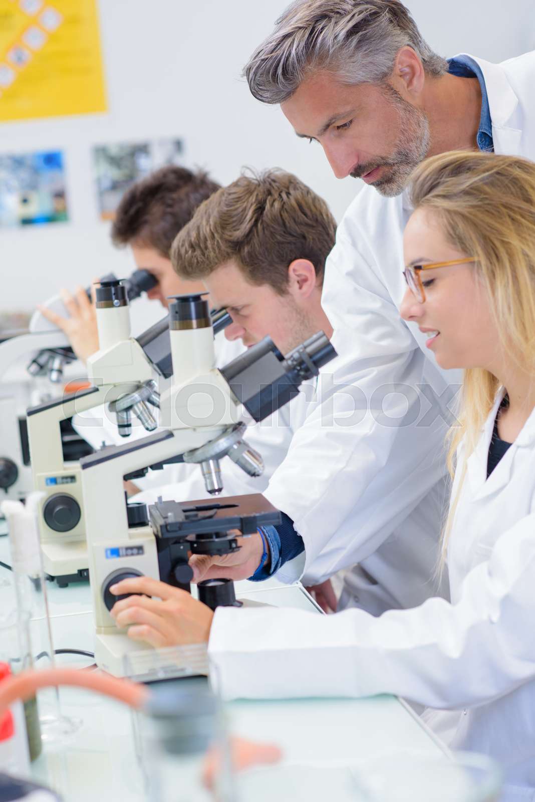 laboratory class | Stock image | Colourbox
