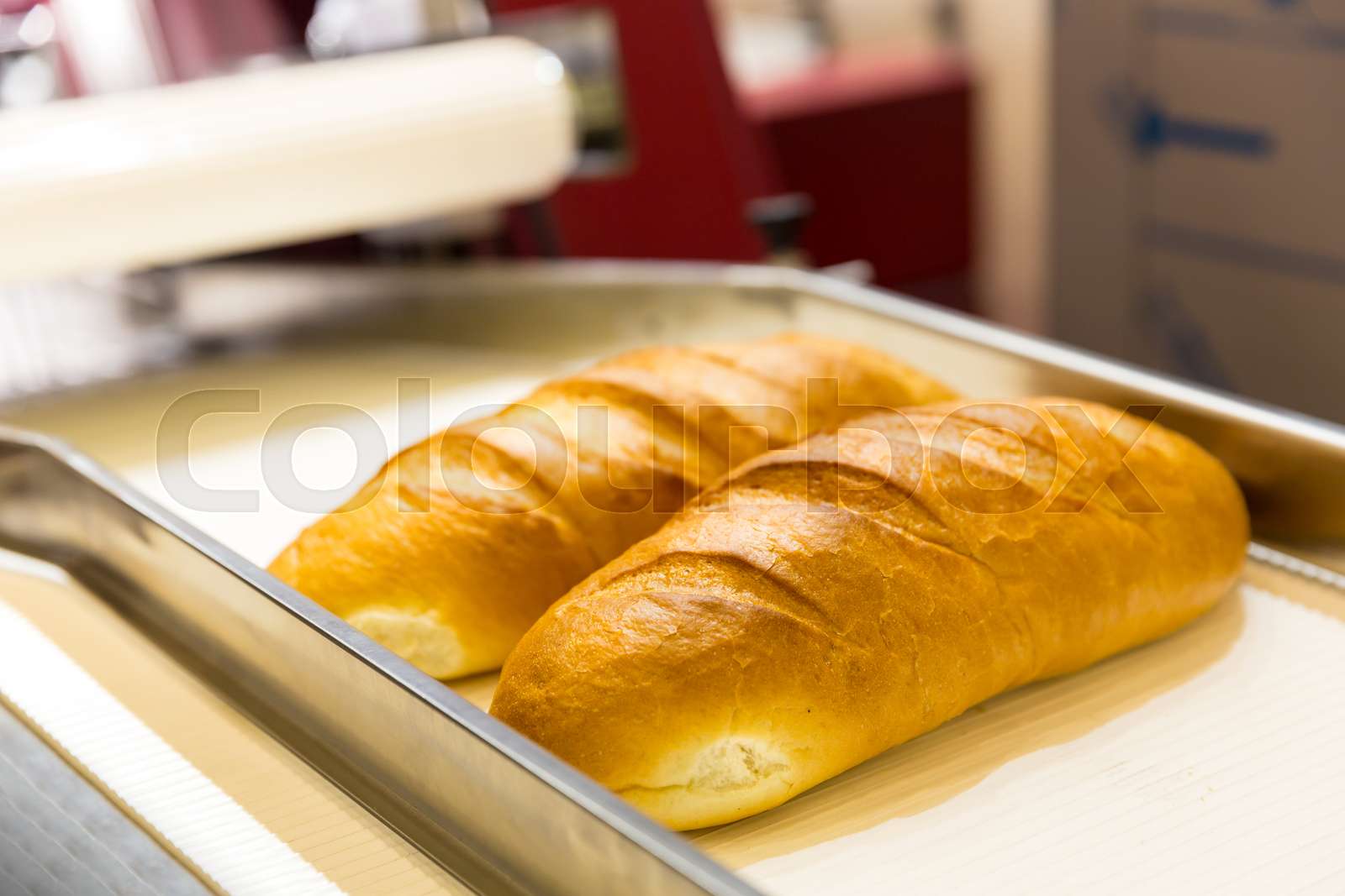 Professional Bakery Equipment Bread Conveyor Stock Image Colourbox