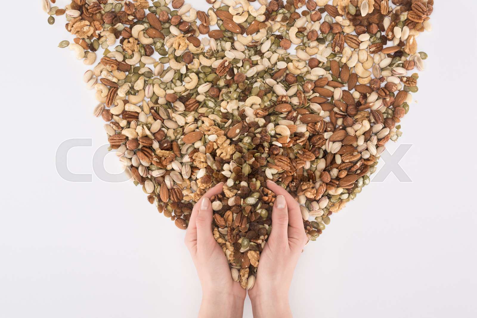 human hands and various nuts | Stock image | Colourbox