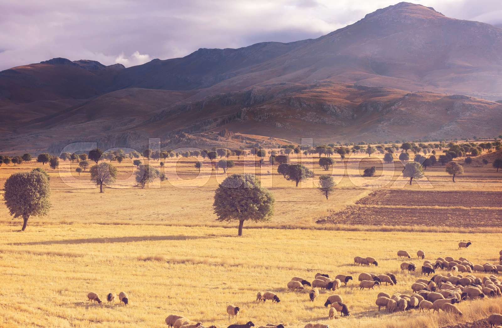 Natural landscapes in Turkey