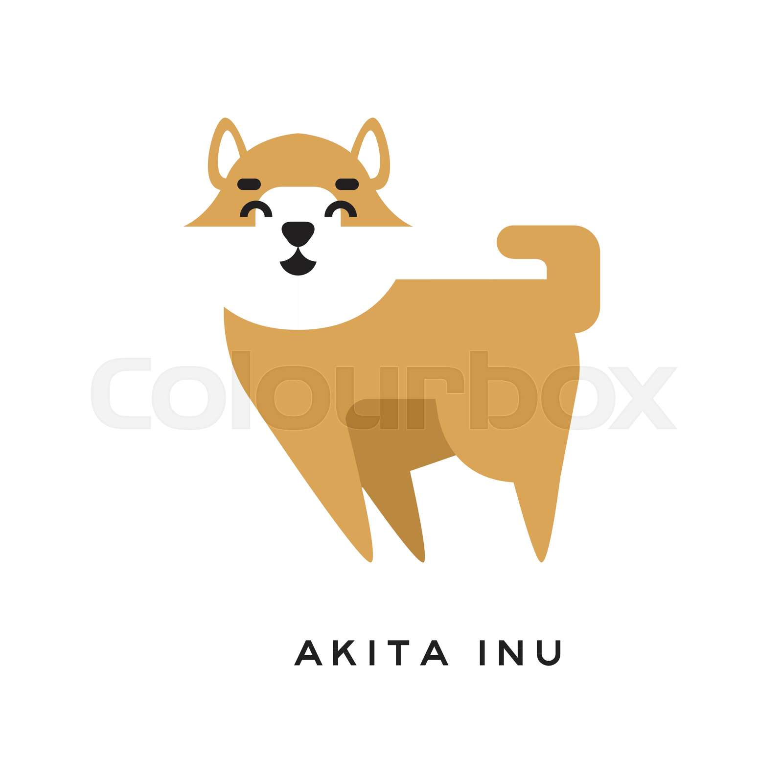 akita muzzle