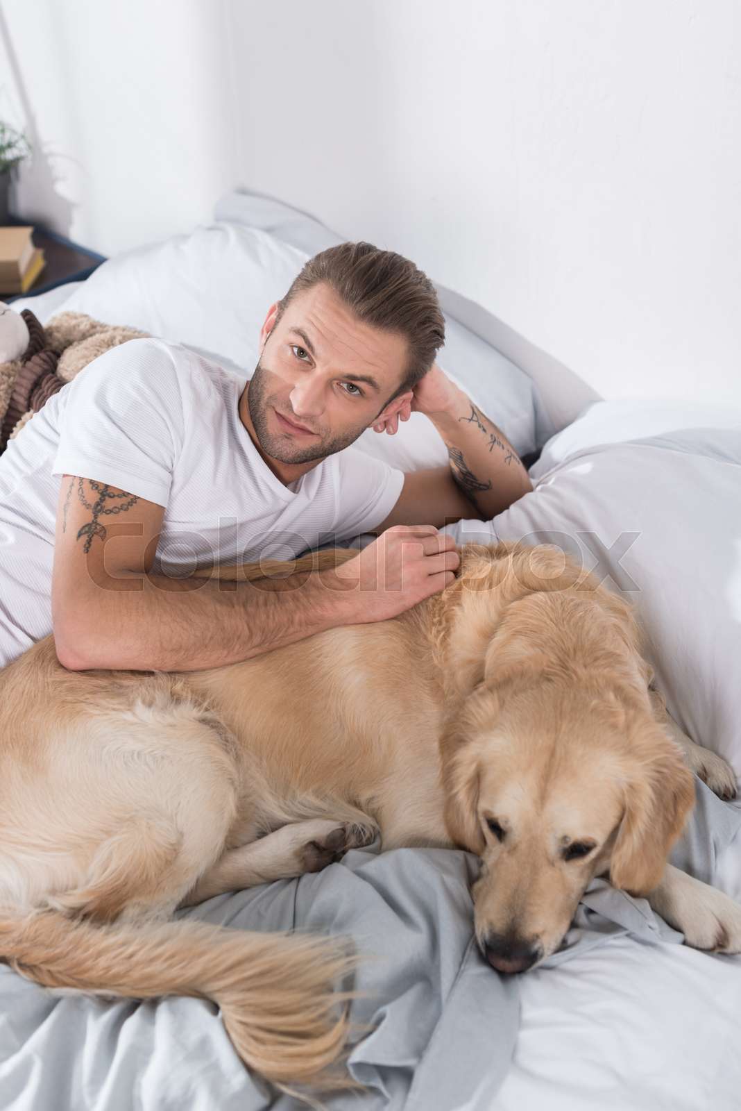 Man Lying In Bed With Dog Stock Image Colourbox