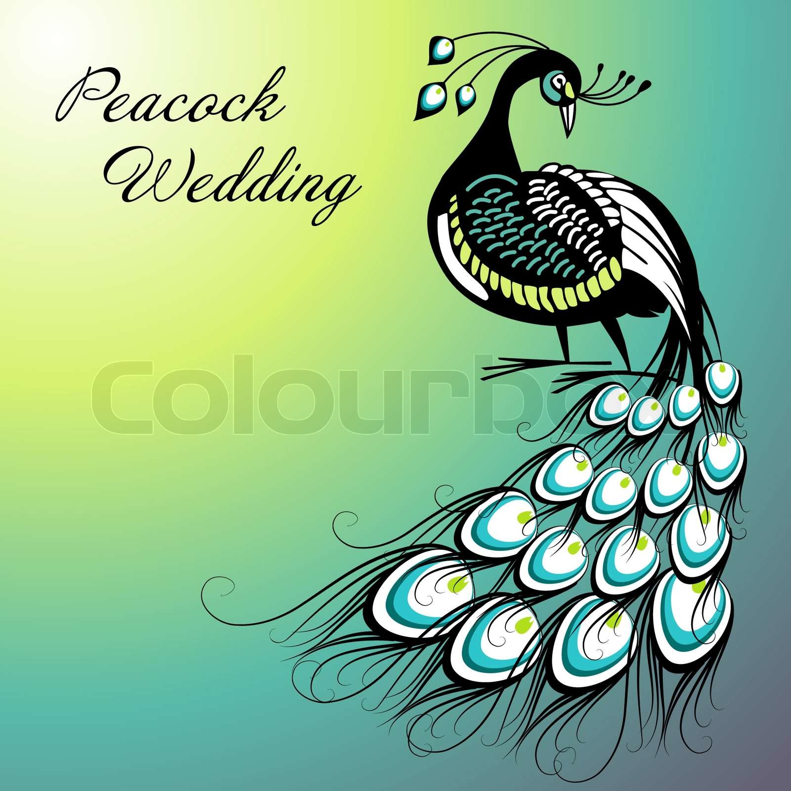 Peacock Card | Stock vector | Colourbox