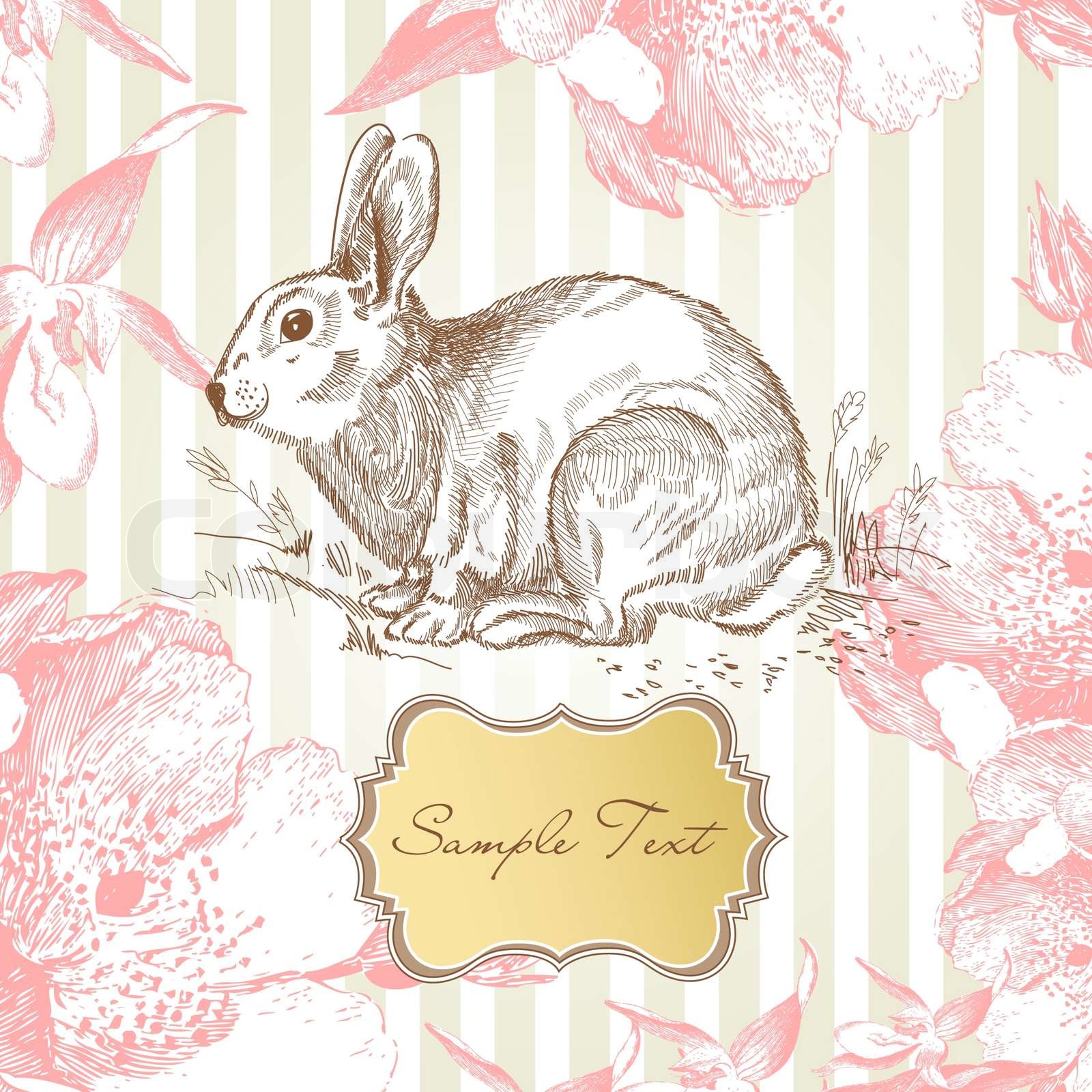Vintage Easter rabbit Stock vector Colourbox