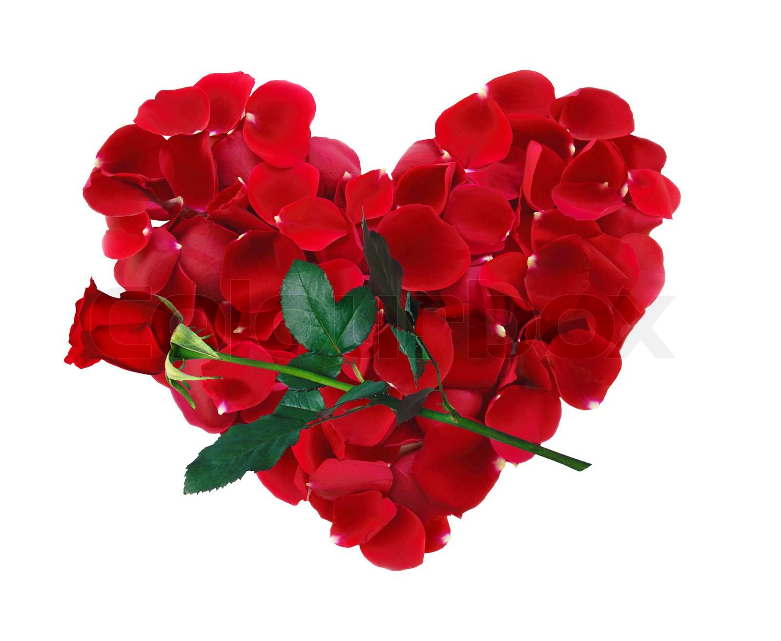 ljusrosa hjärtformade rosenblad main image 1