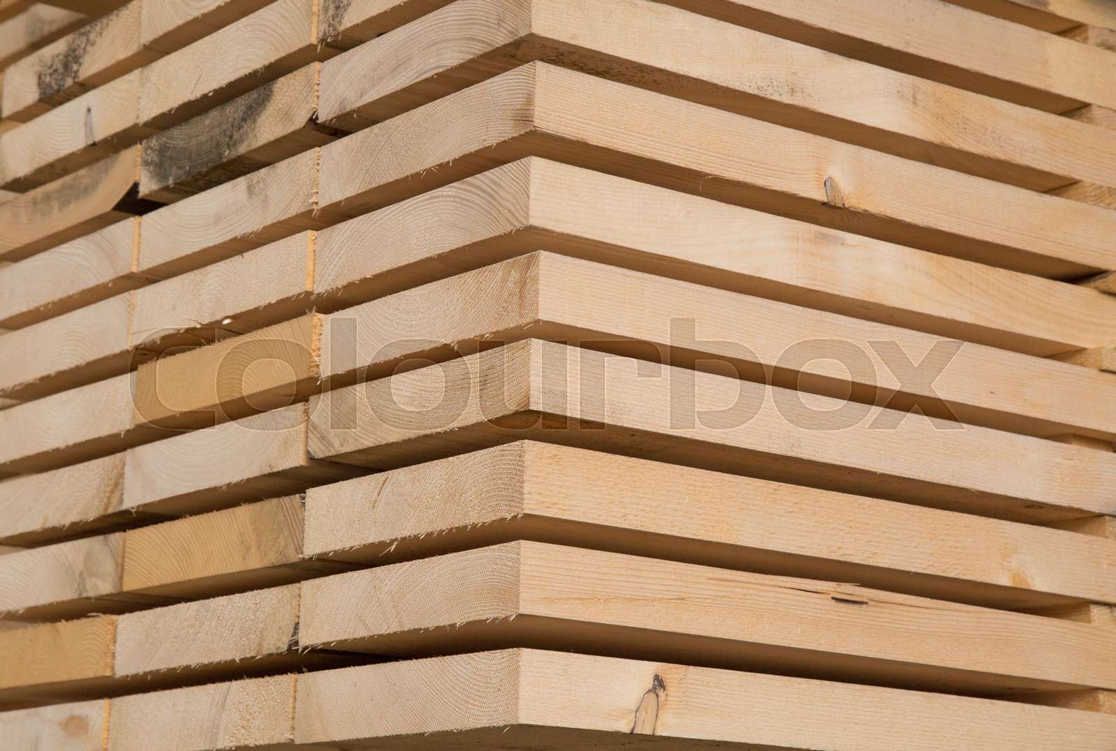 Fresh wooden studs | Stock image | Colourbox