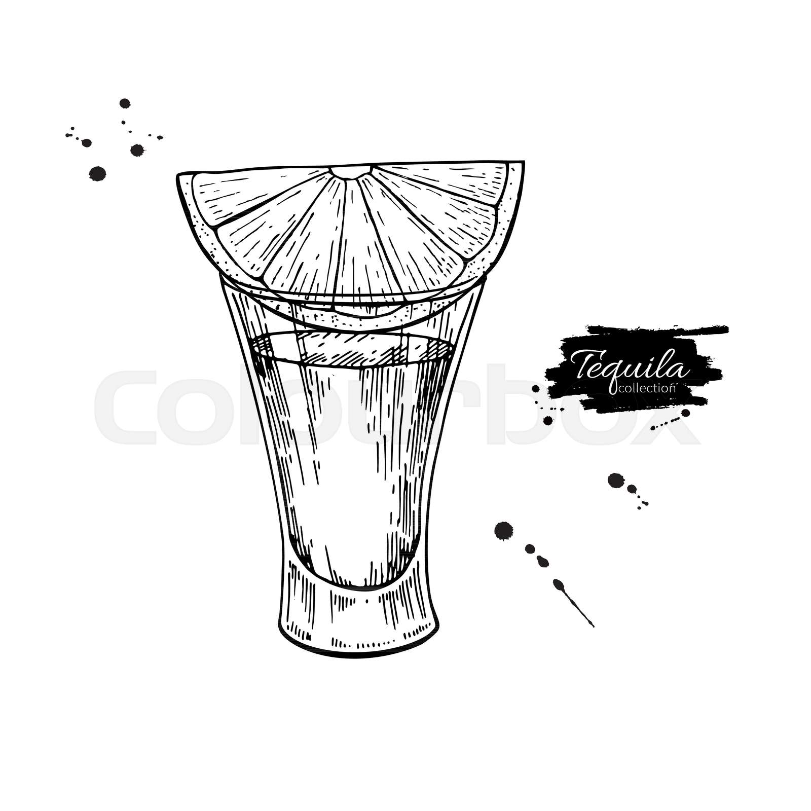 Tequila shot glass with lime. Mexican alcohol drink vector drawing
