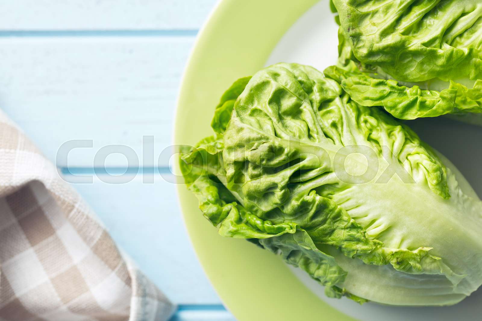 fresh lettuce | Stock image | Colourbox