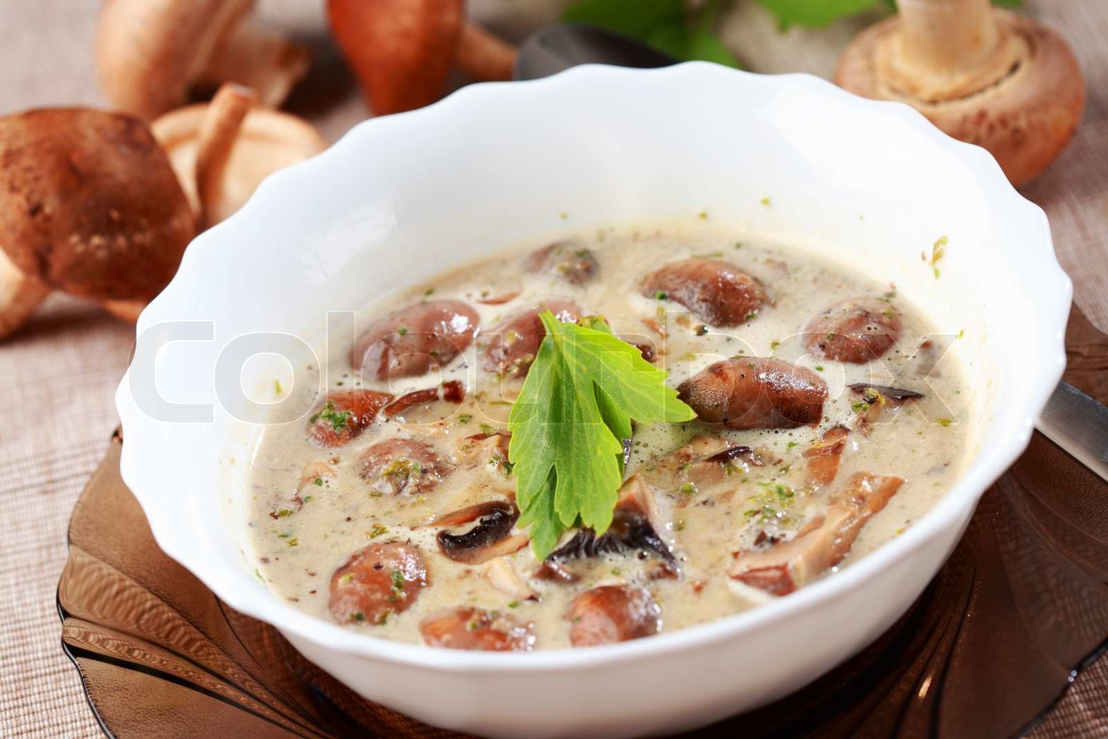 Pilzsuppe mit Feldchampignon agaricus und Shiitake-Pilz | Stock Bild ...