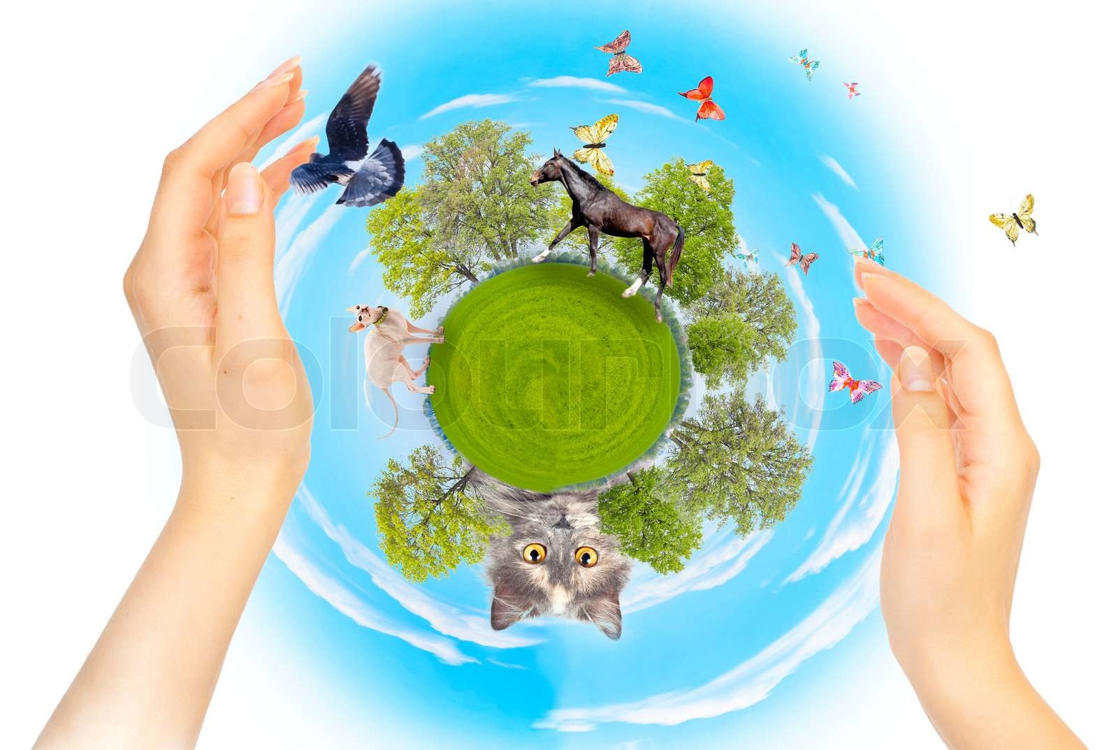 The concept of conservation Stock image Colourbox