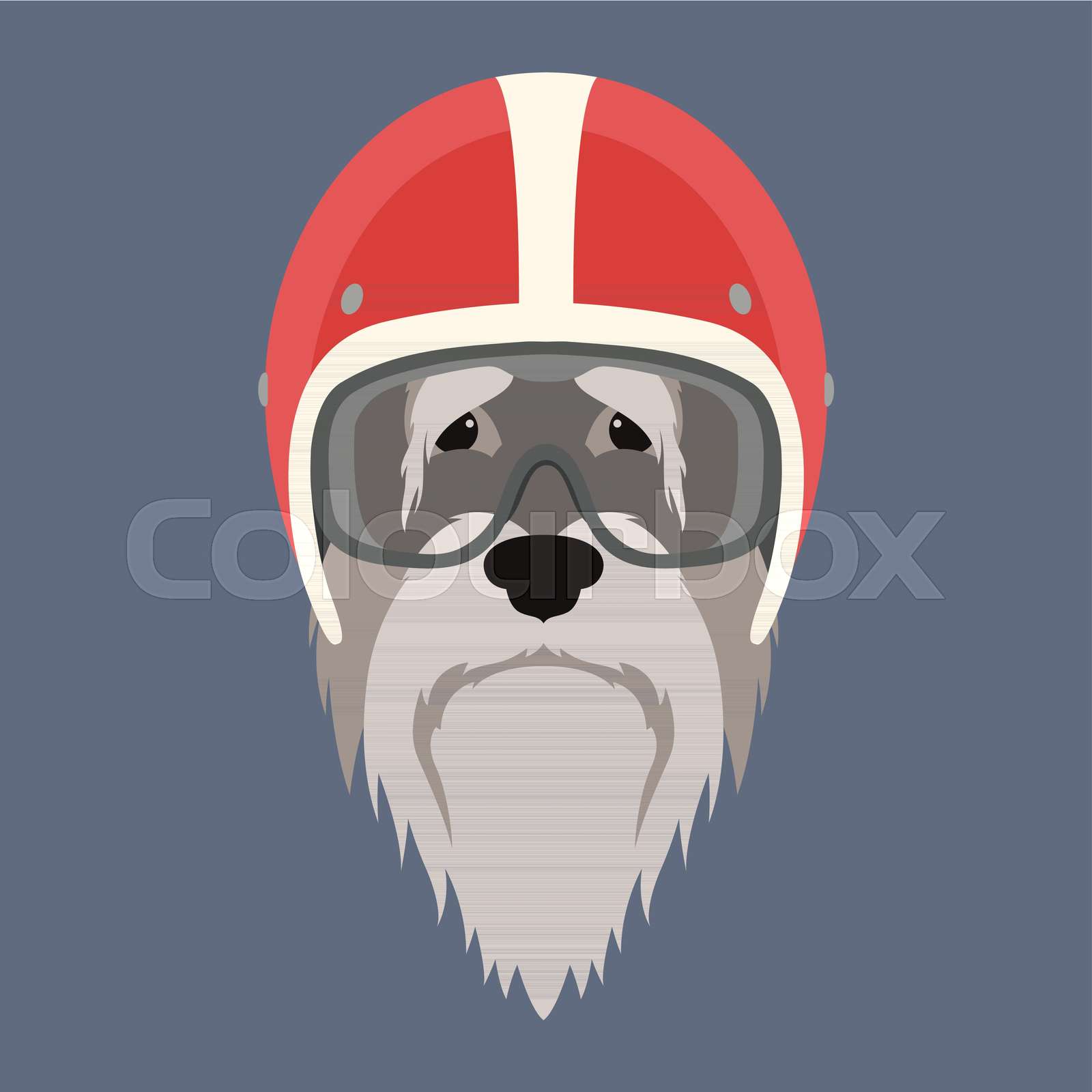 dog face helmet
