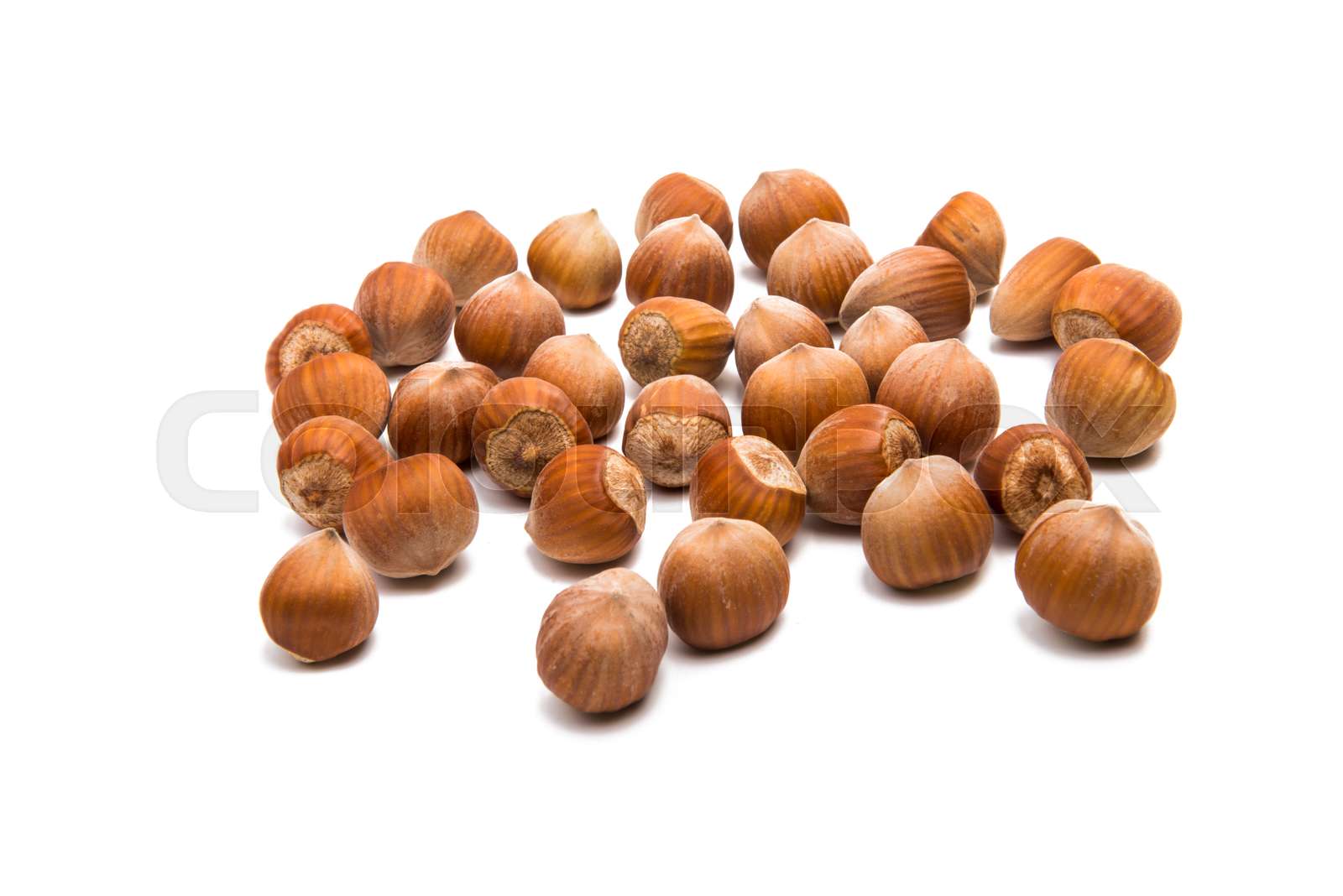 hazelnut nuts isolated | Stock image | Colourbox