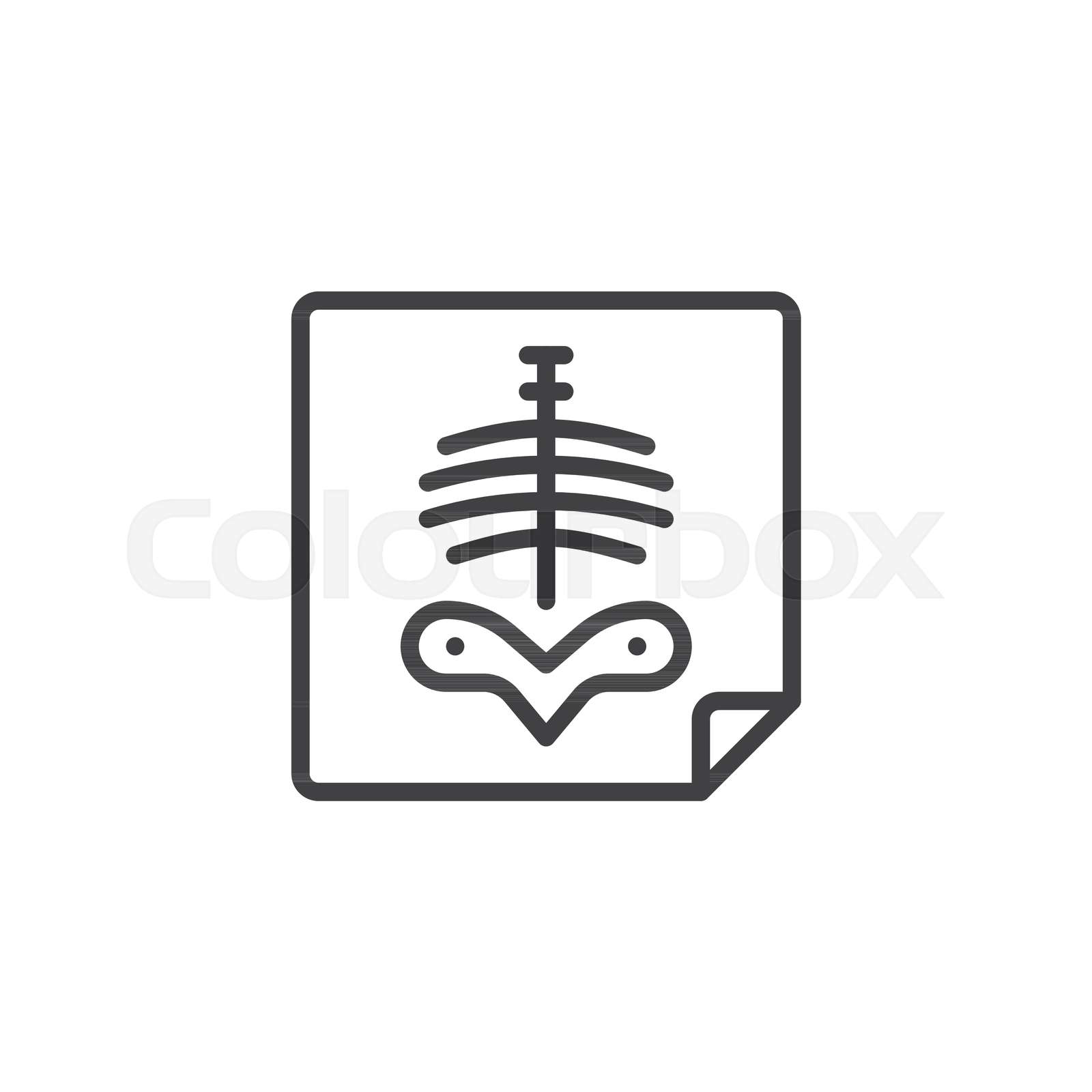 radiografía, editable, radiología | Vector de archivo | Colourbox