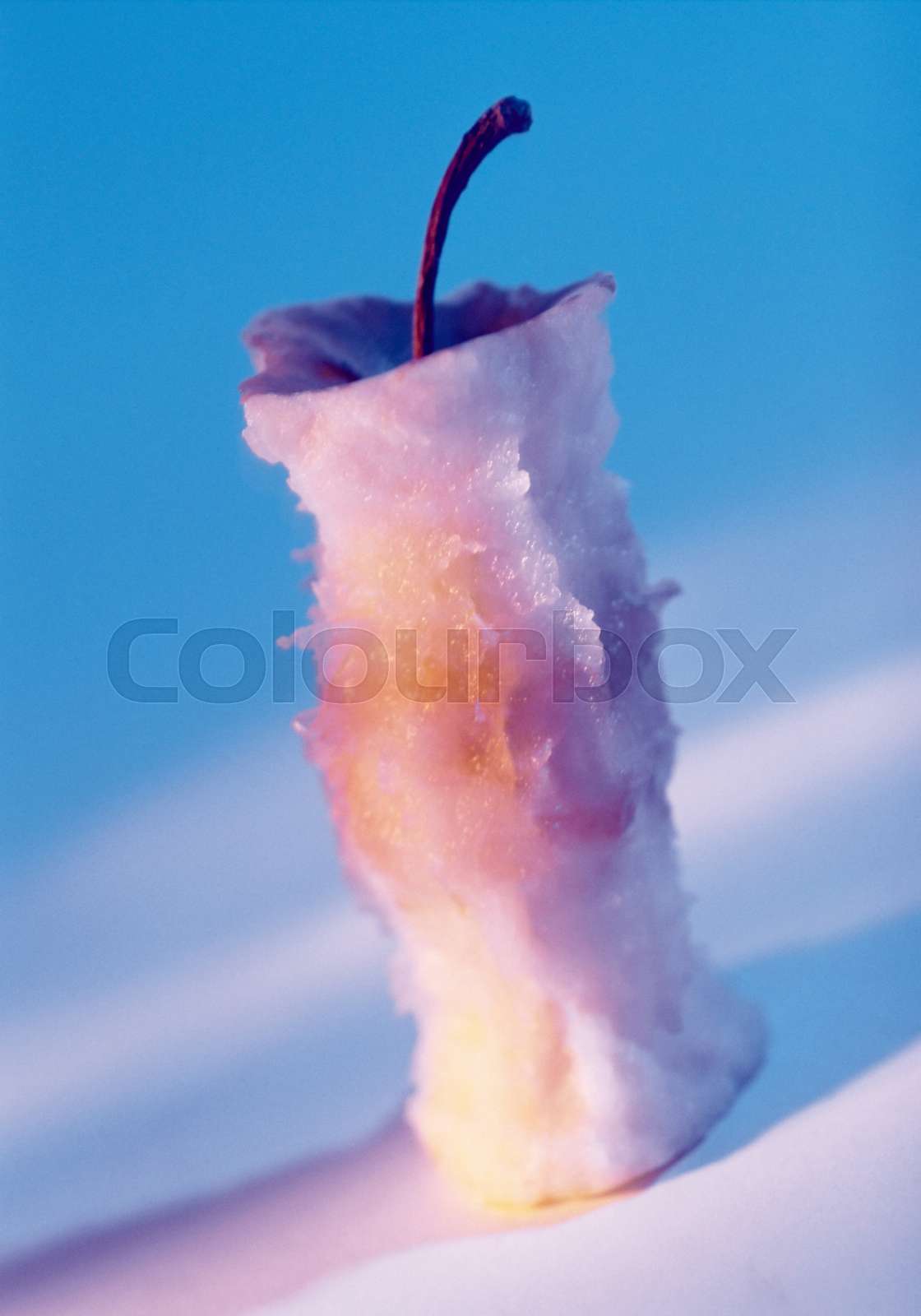 Apple core Stock image Colourbox