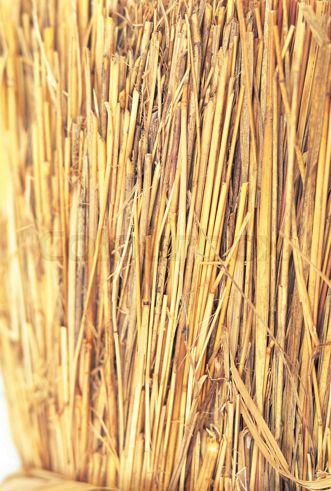 Bundle of straw | Stock image | Colourbox