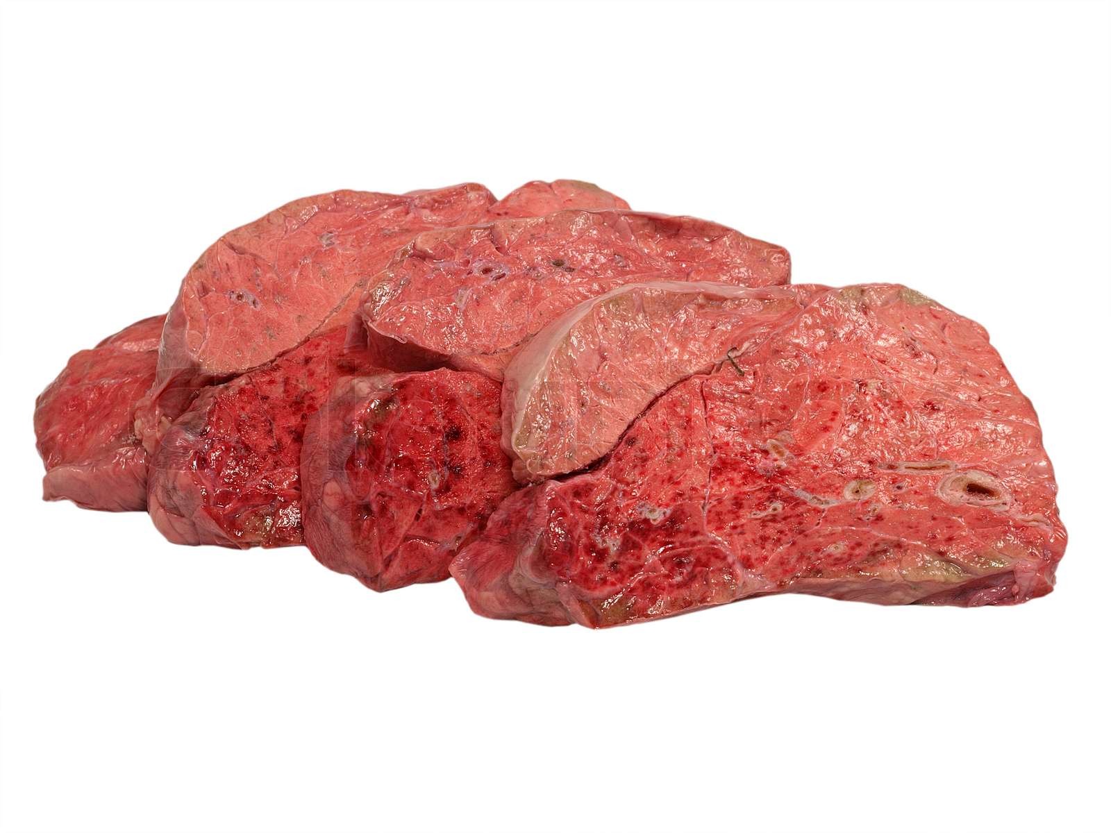 Sliced uncooked cow lung isolated on a white background | Stock image