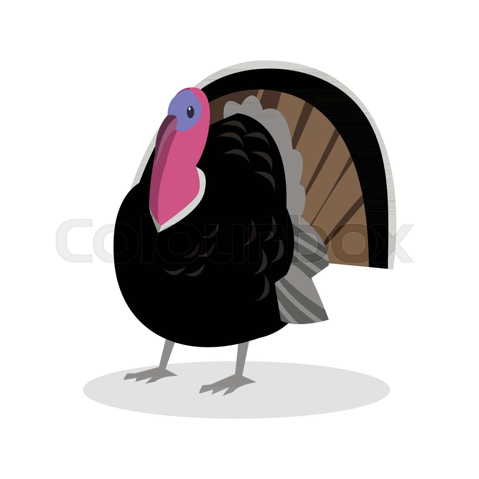 Chicken Stock Vector Colourbox Chicken Stock Vector Colourbox