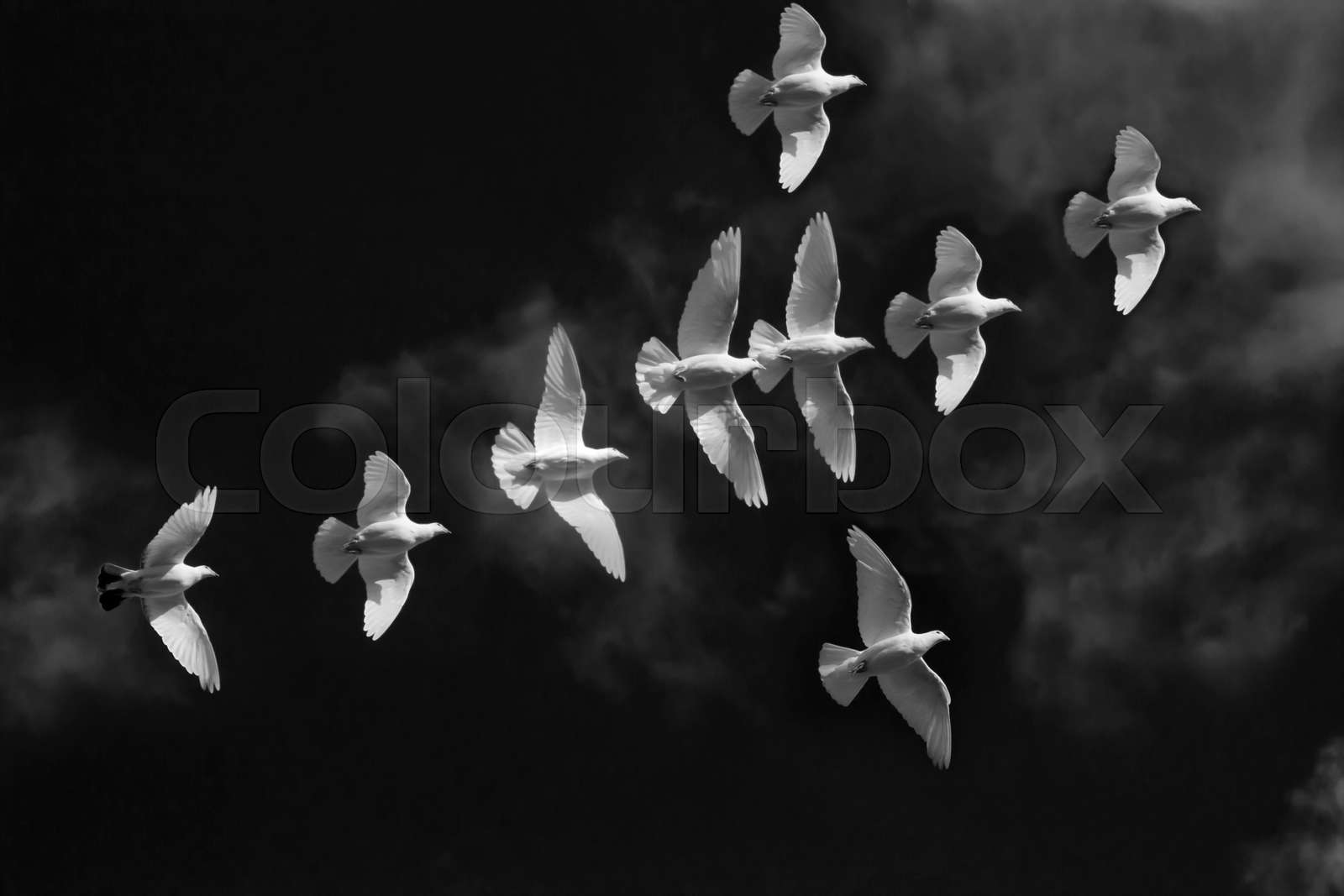 Weiße Tauben fliegen Symbol Kreuz Stock Bild Colourbox