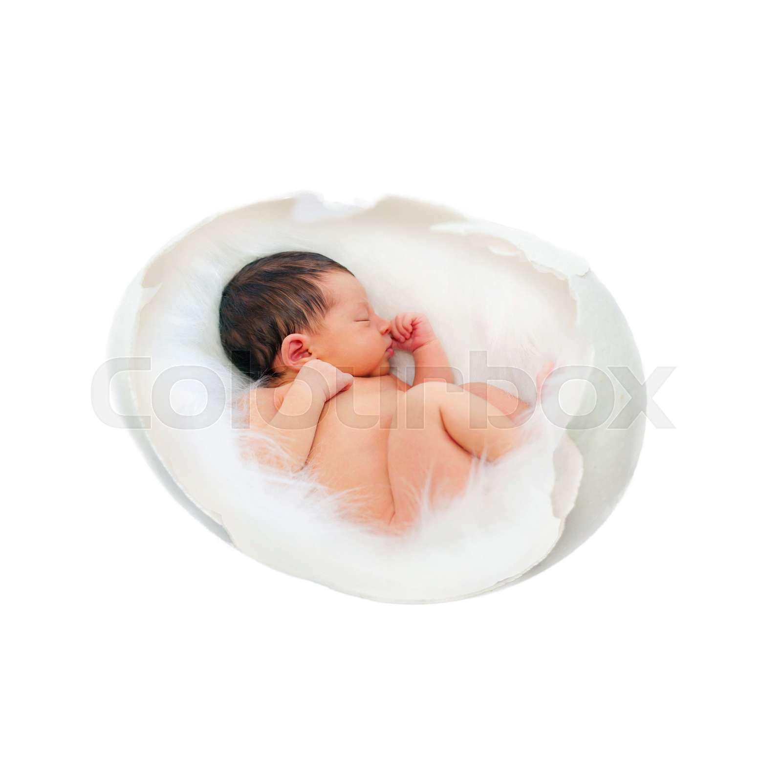 Newborn baby in the egg. Fetus, embryo, IVF concept. | Stock image ...