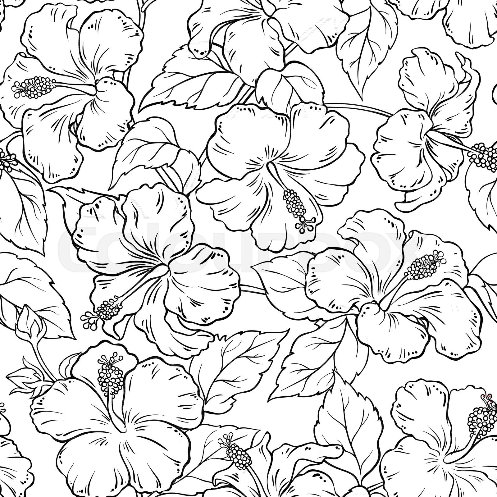 hibiscus seamless pattern | Stock vector | Colourbox