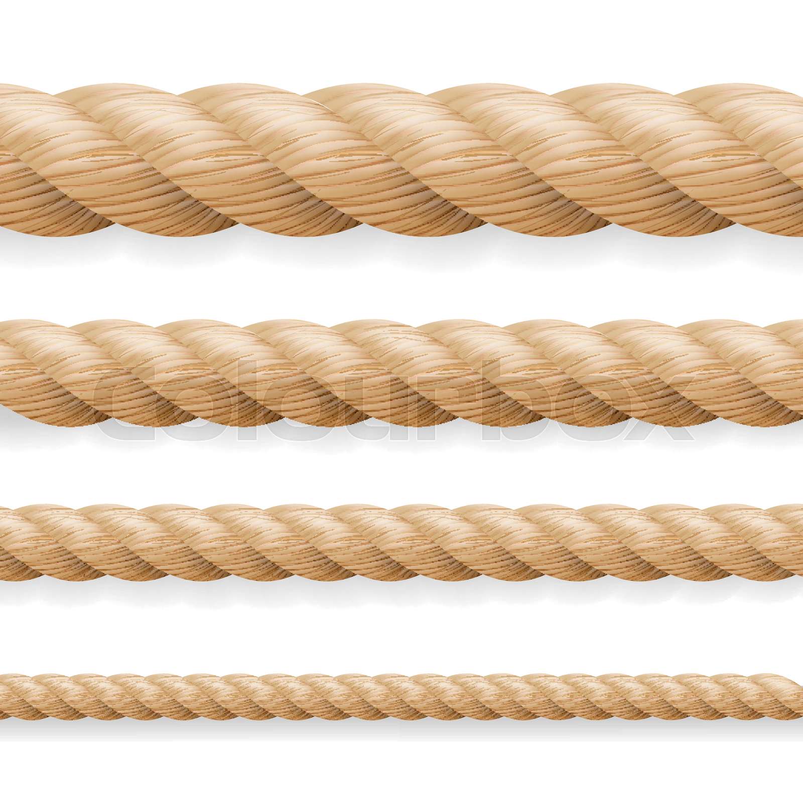 Realistic Rope Vector. Different Thickness Rope Set Isolated On White
