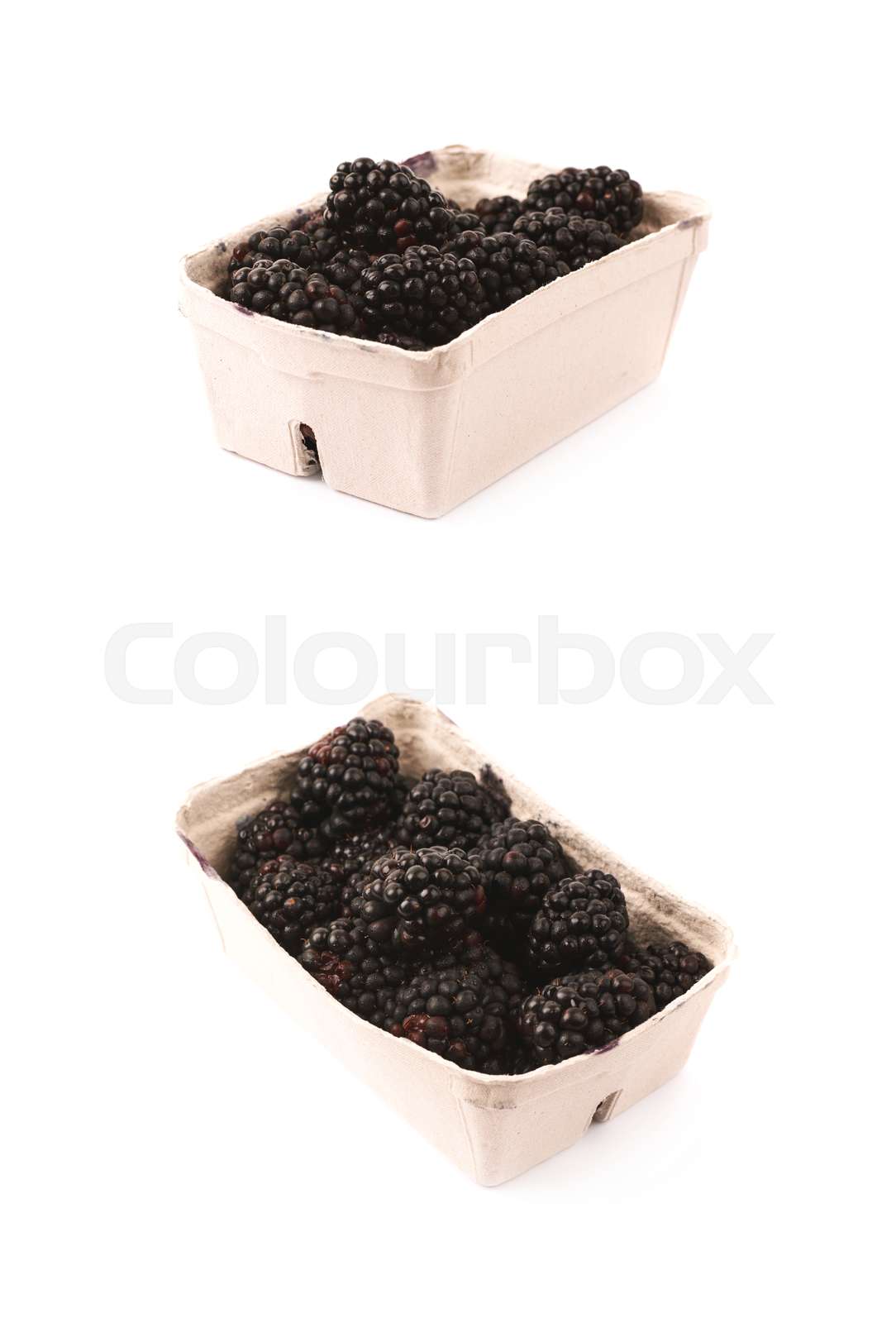 Cardboard box of blackberries isolated | Stock image | Colourbox