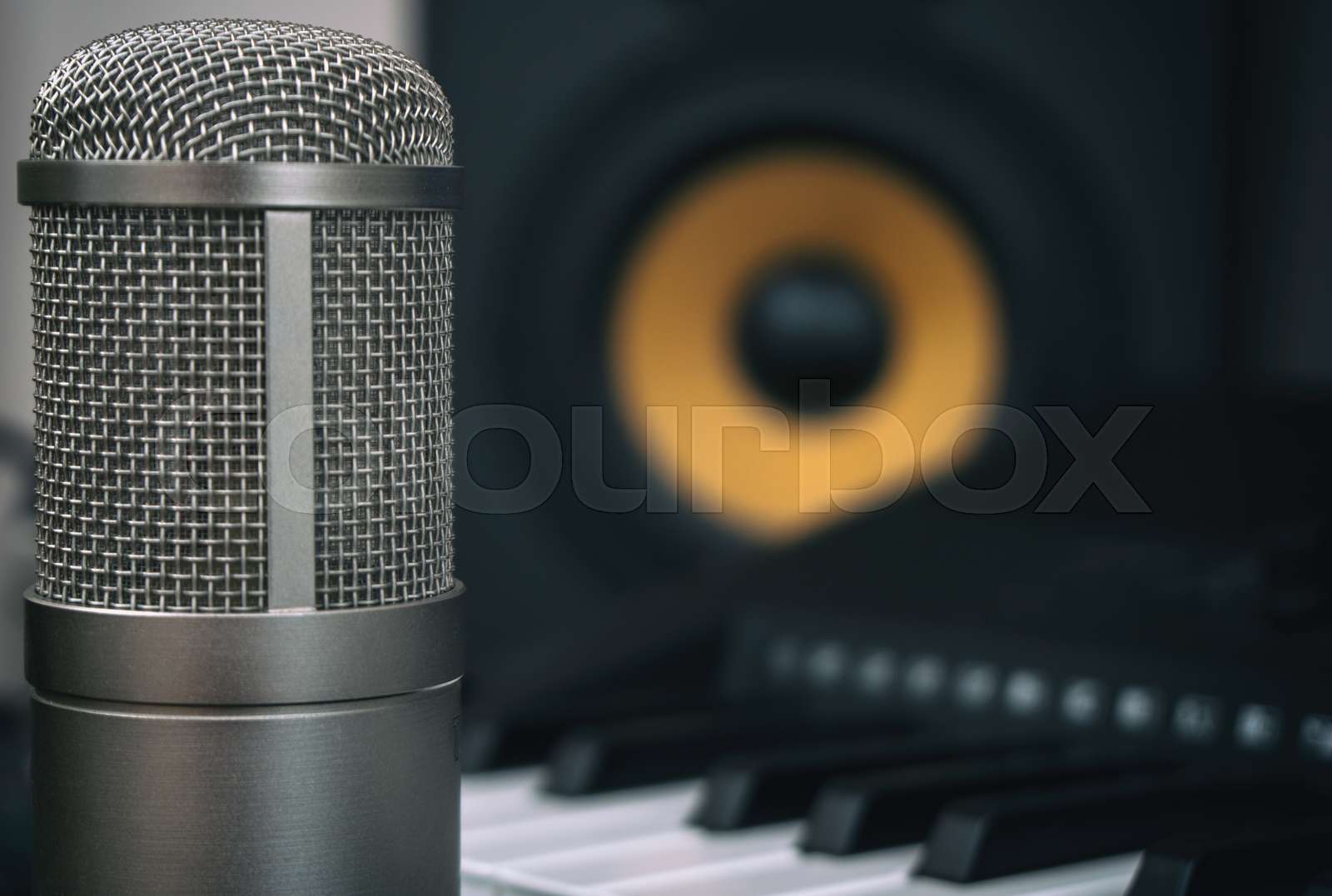 Professional studio monitor and condenser microphone. Concept of home ...