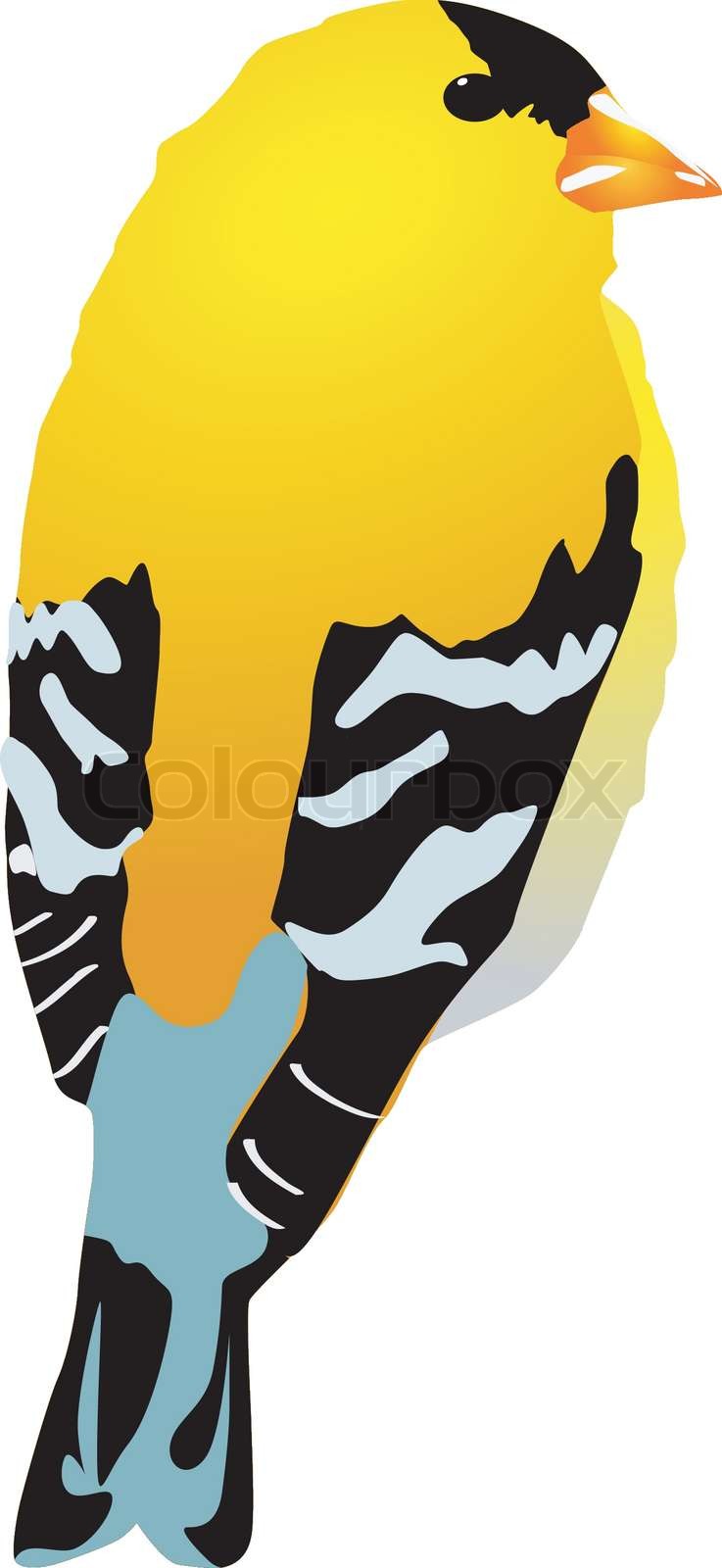 Beautiful yellow bird. Vector. EPS10 | Stock vector | Colourbox