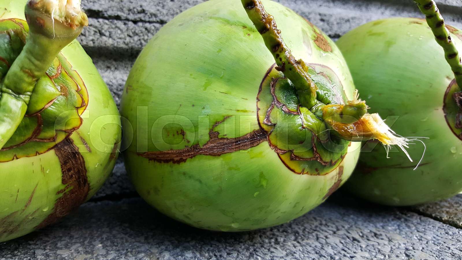young green coconuts with nutrient, health benefits, dietary fiber and