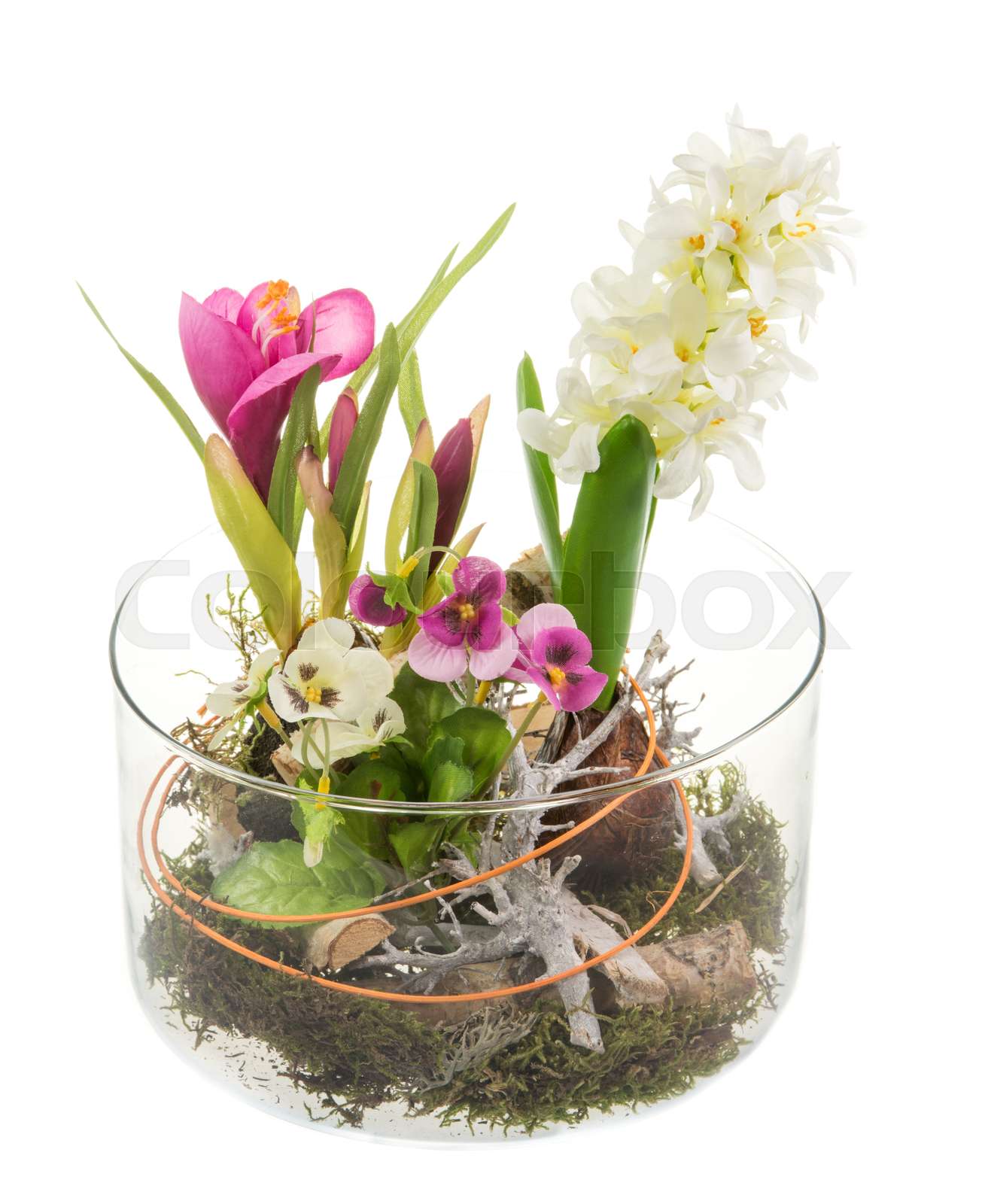Spring Deco | Stock image | Colourbox