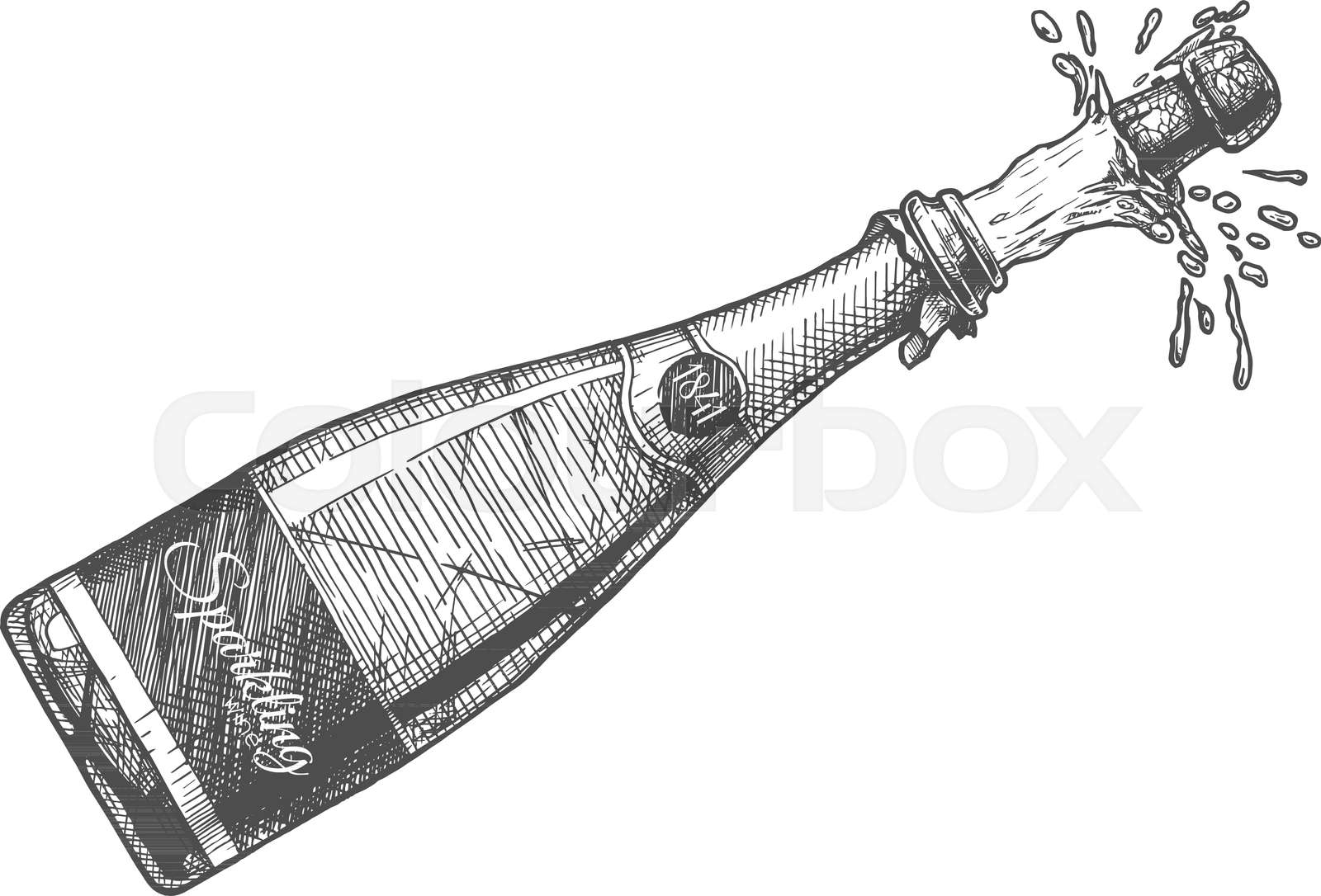 Champagne bottle explosion | Stock vector | Colourbox