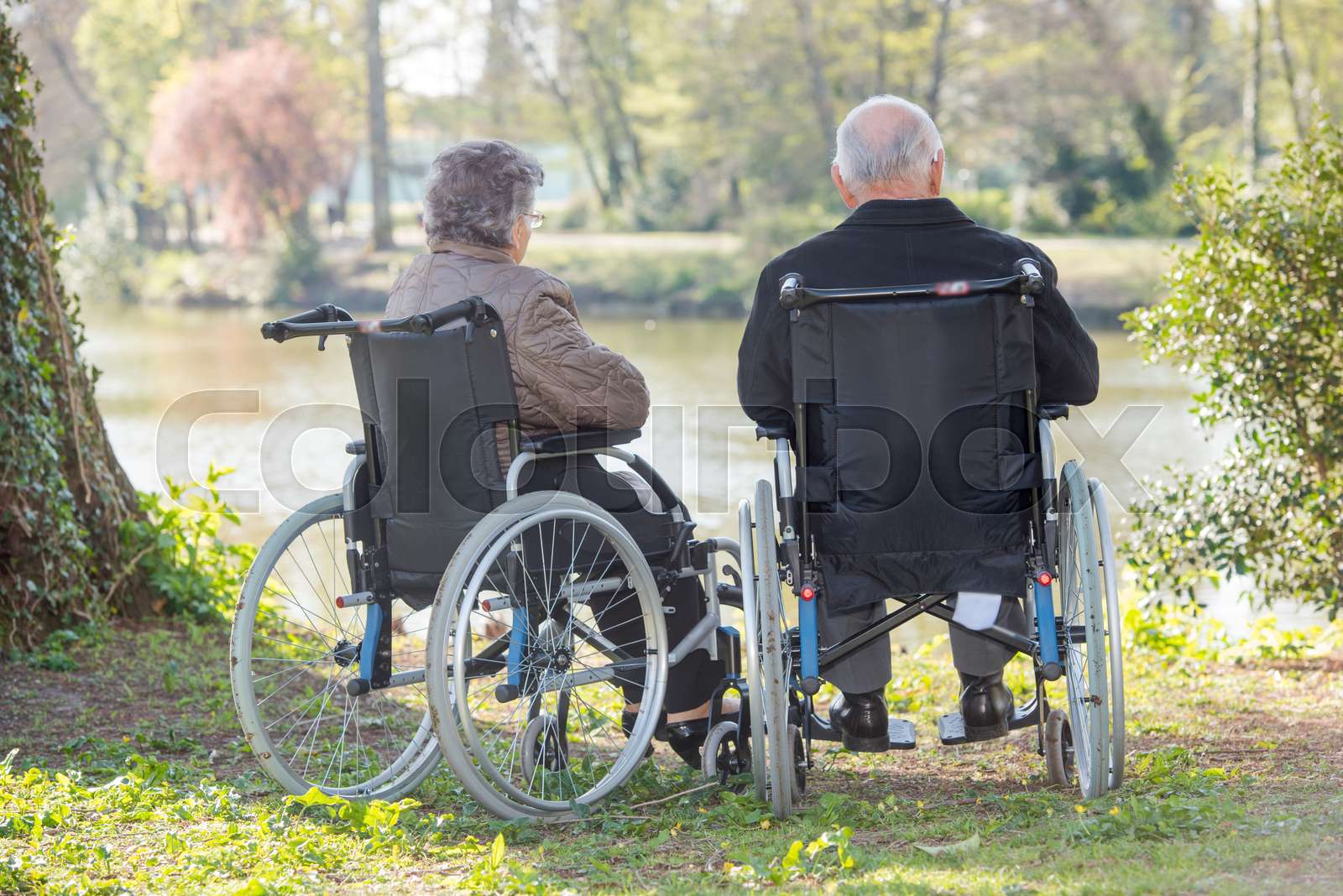 elderly couple in the wheelchair Stock image Colourbox