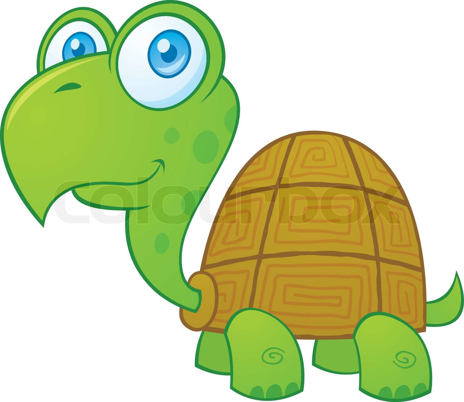 Turtle Cartoon Character | Stock vector | Colourbox