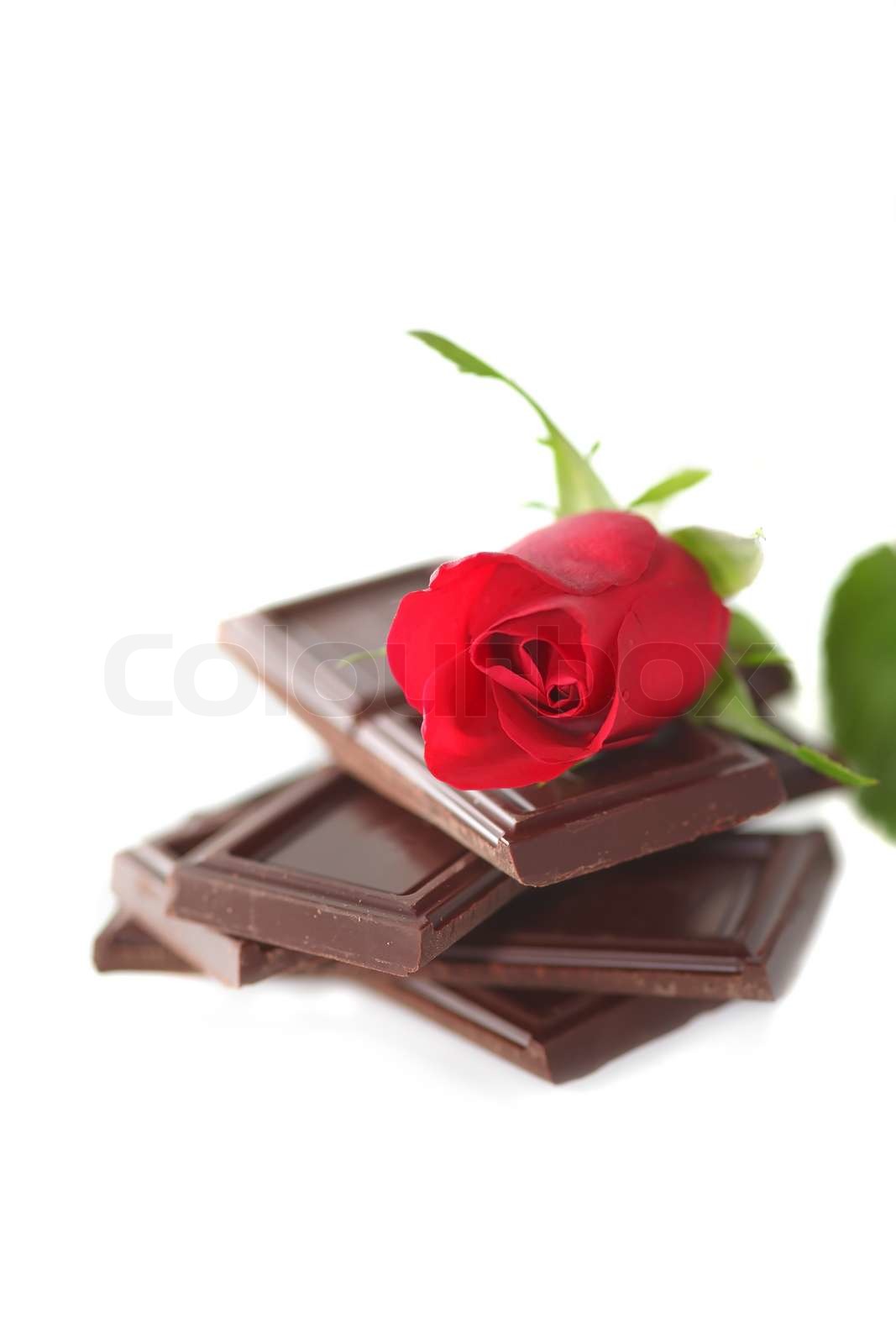 Red Rose with chocolate on white Stock image Colourbox