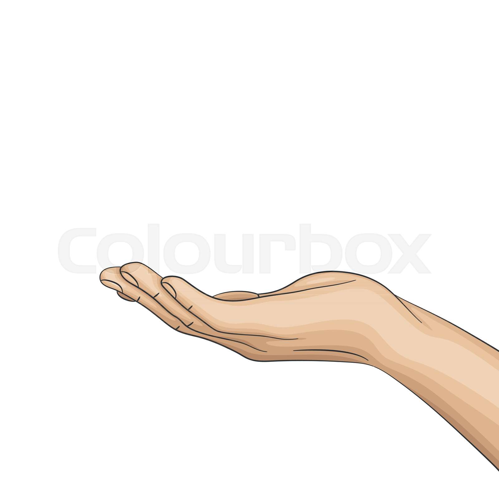 Hand turned the palm upward, open hand. Stock vector Colourbox