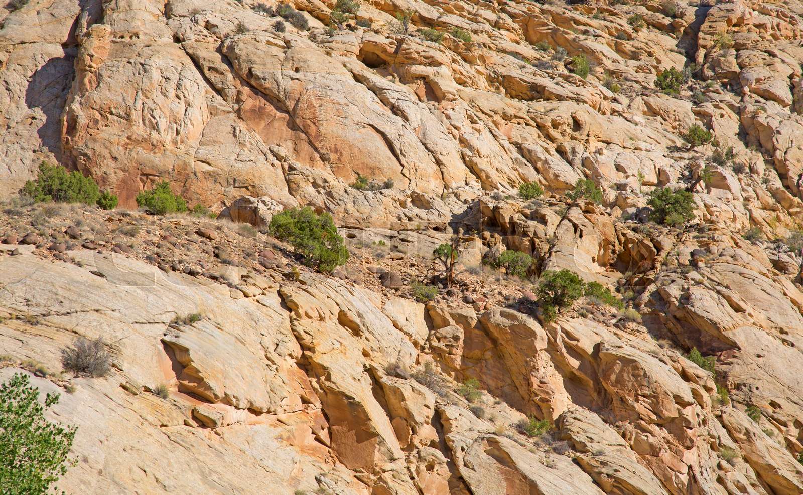 Capitol Reef Stock image Colourbox