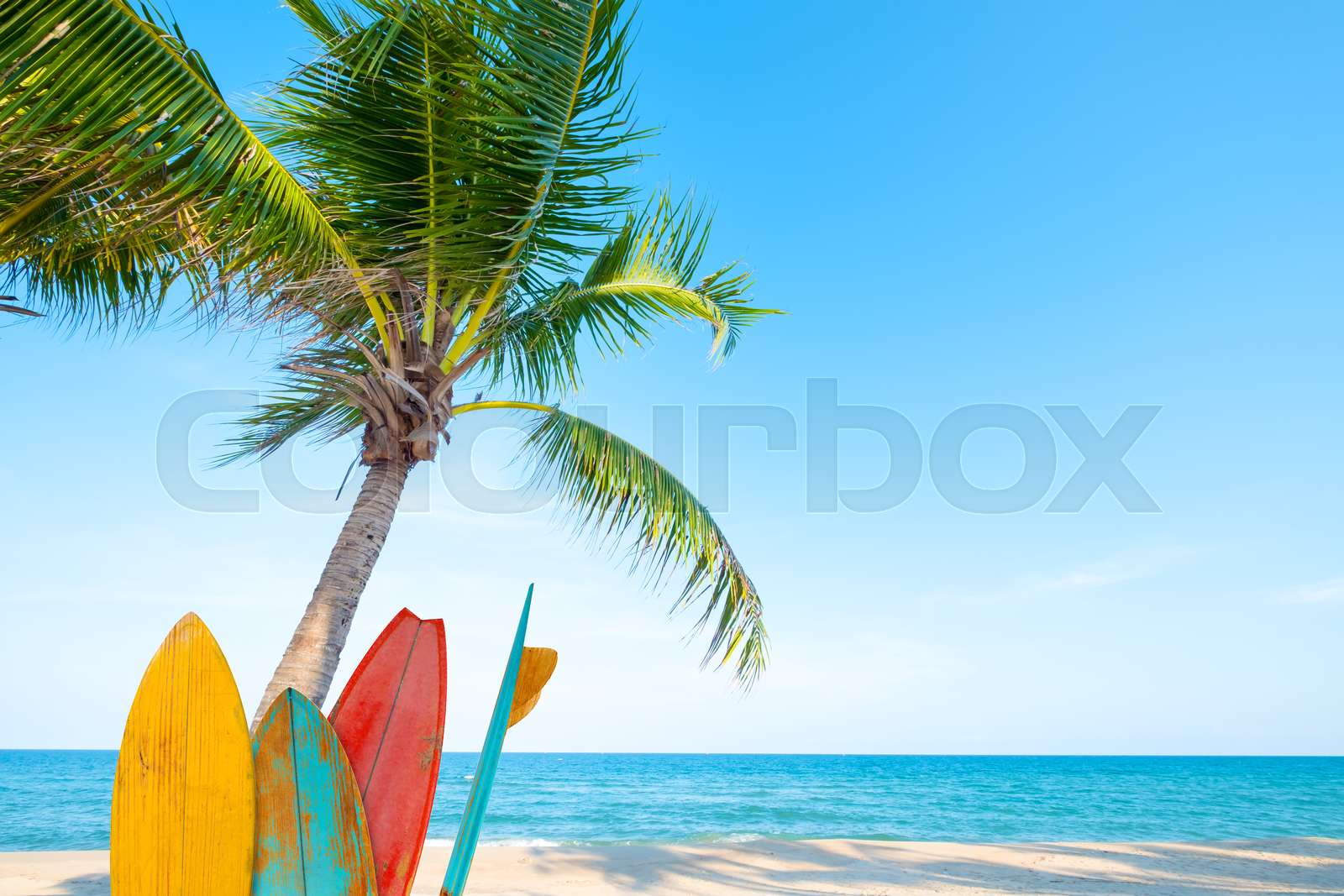 surf board with palm tree on tropical beach | Stock image | Colourbox