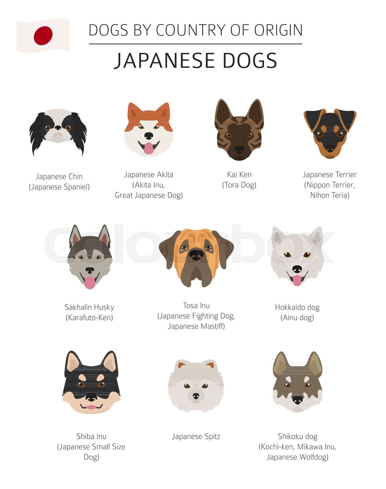 Dogs By Country Of Origin Japanese Dog Breeds Infographic Template 