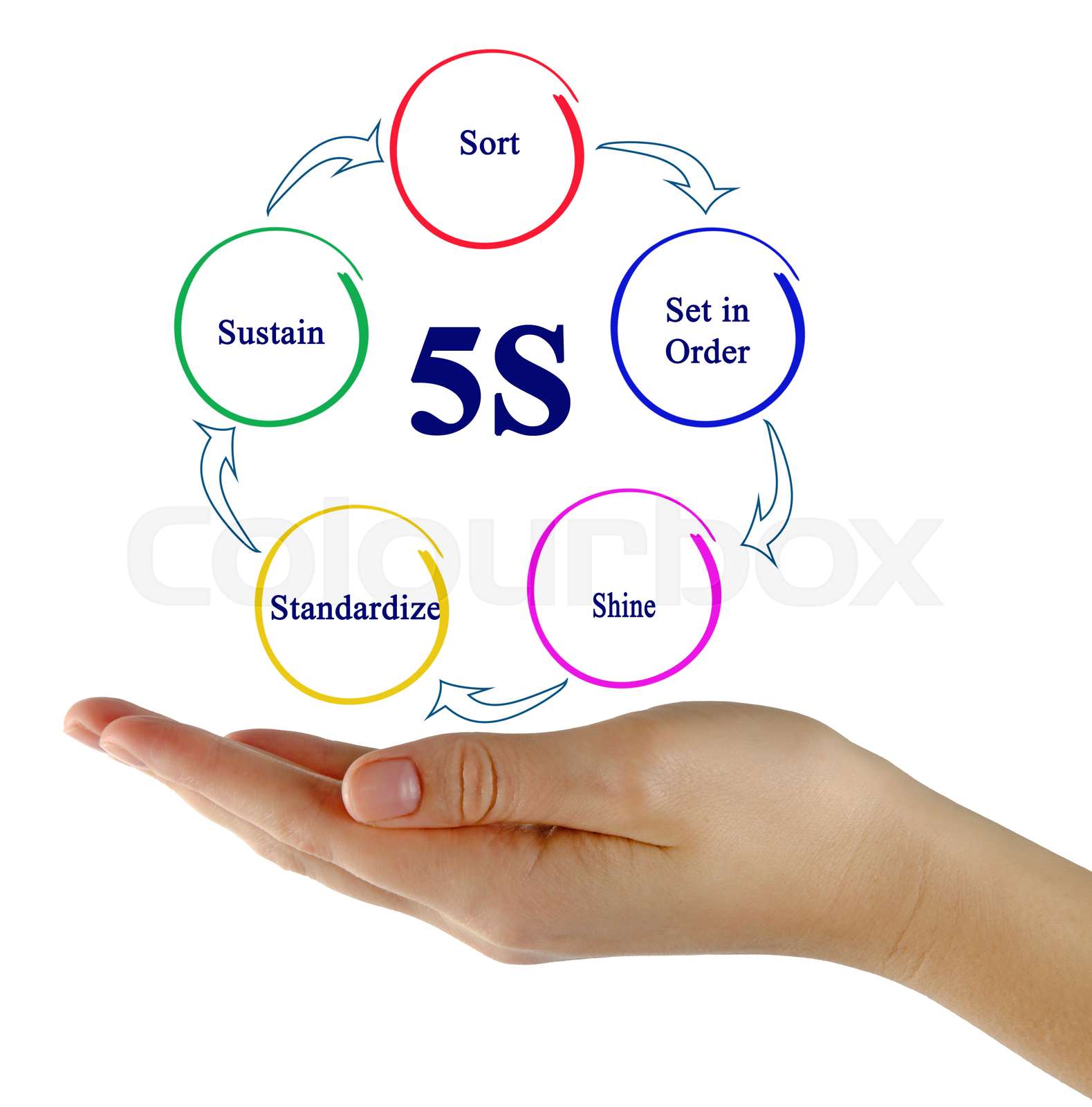 Principles of 5s | Stock image | Colourbox