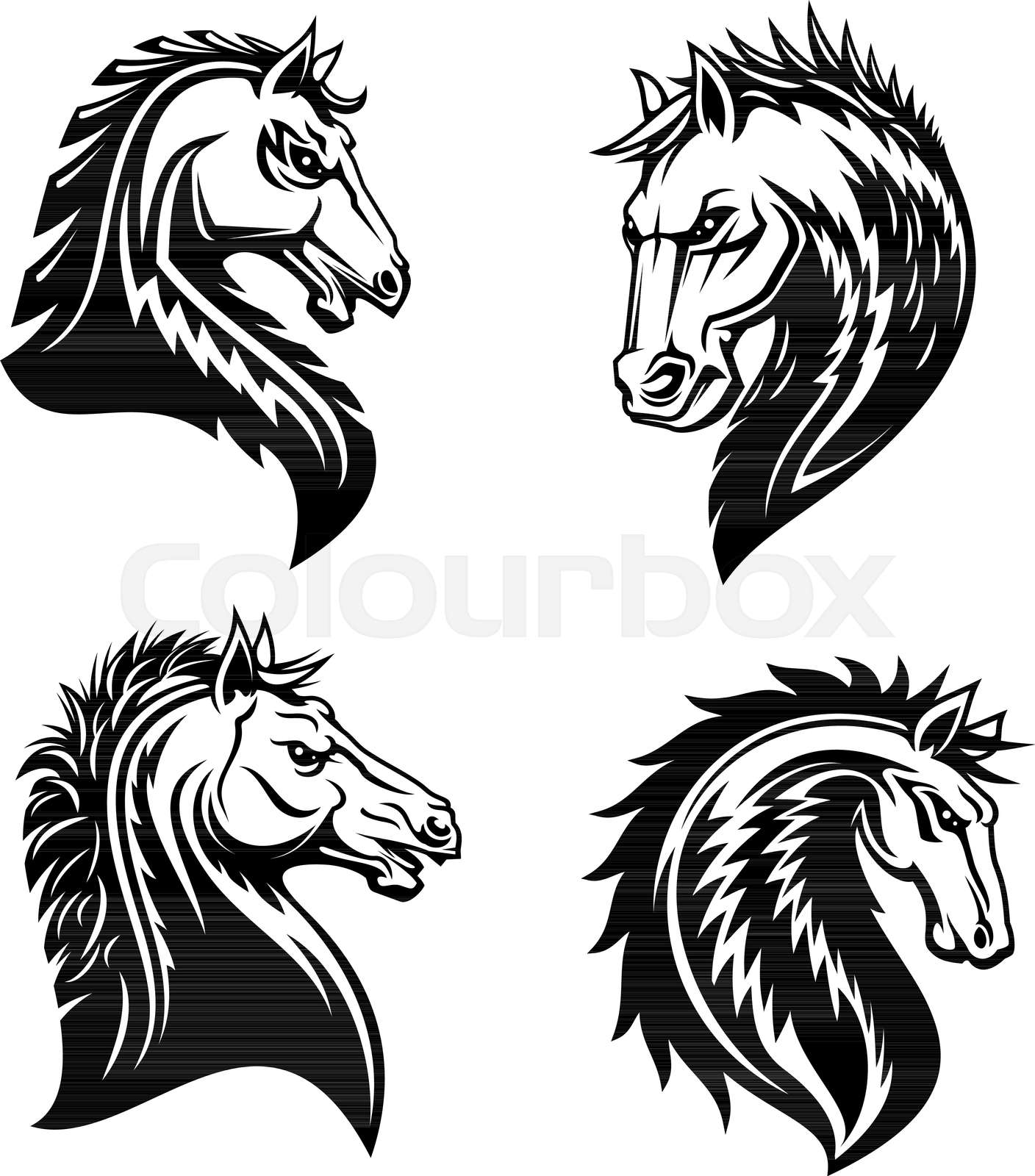 Horse heads vector design | Stock vector | Colourbox