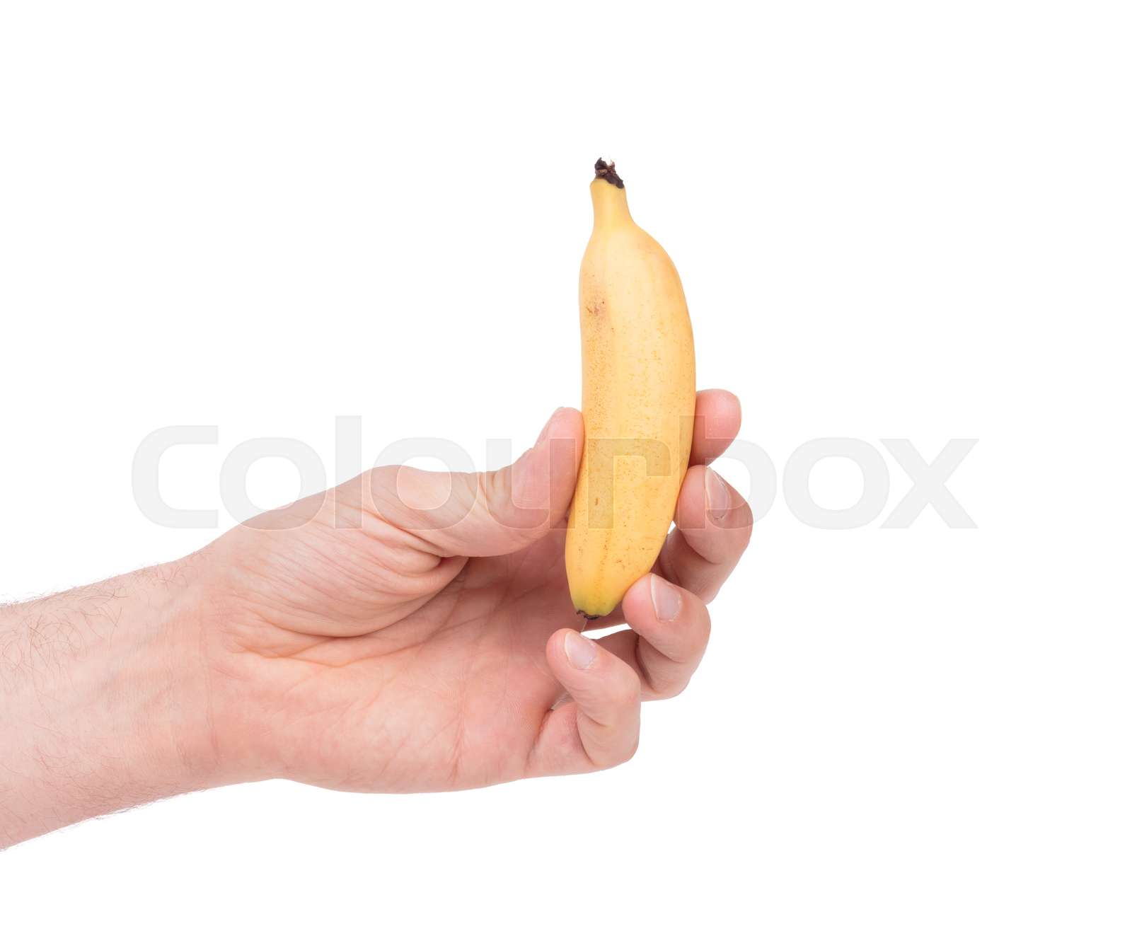 Small tropical banana | Stock image | Colourbox