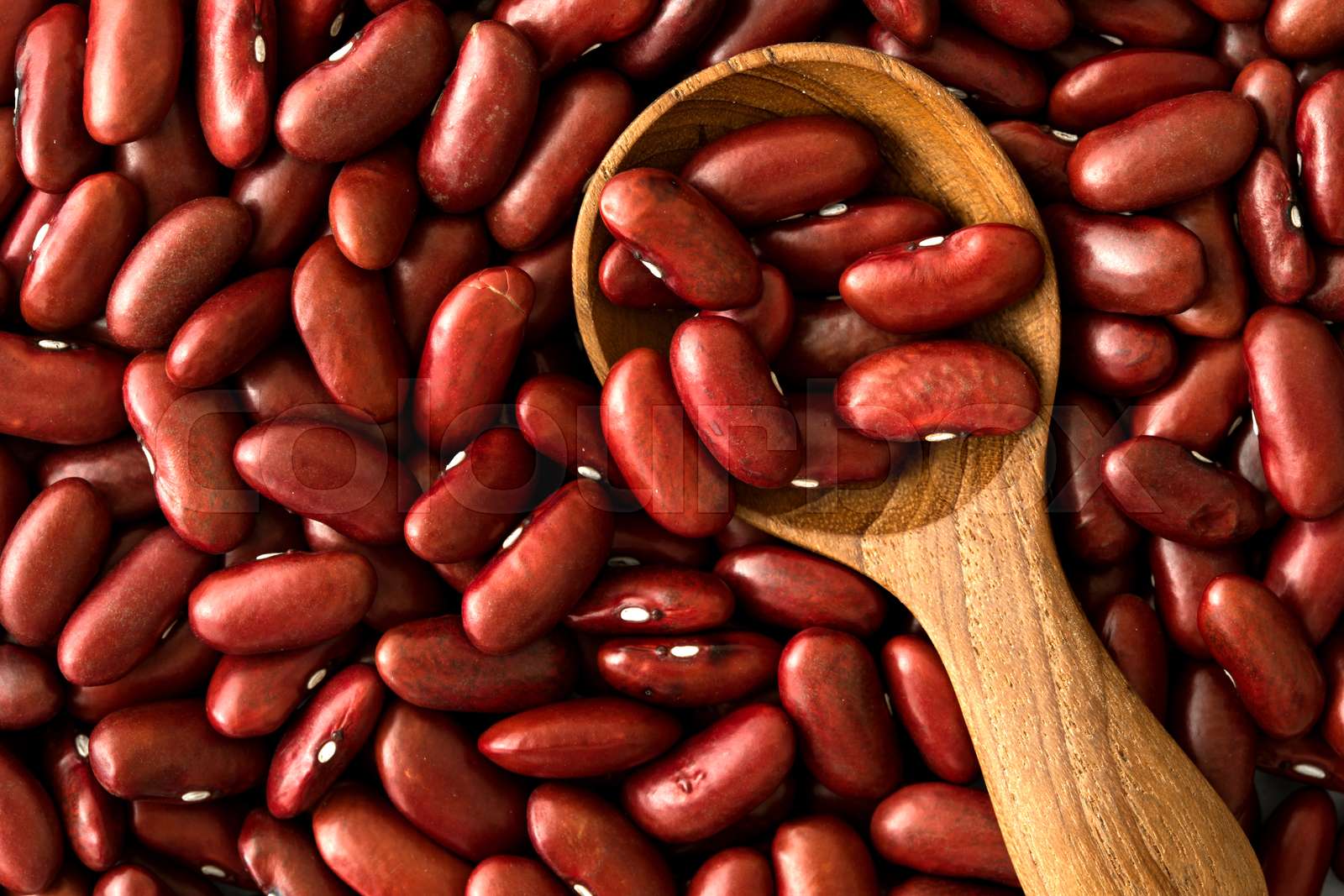 Close up a dark red kidney beans grain seed | Stock image | Colourbox
