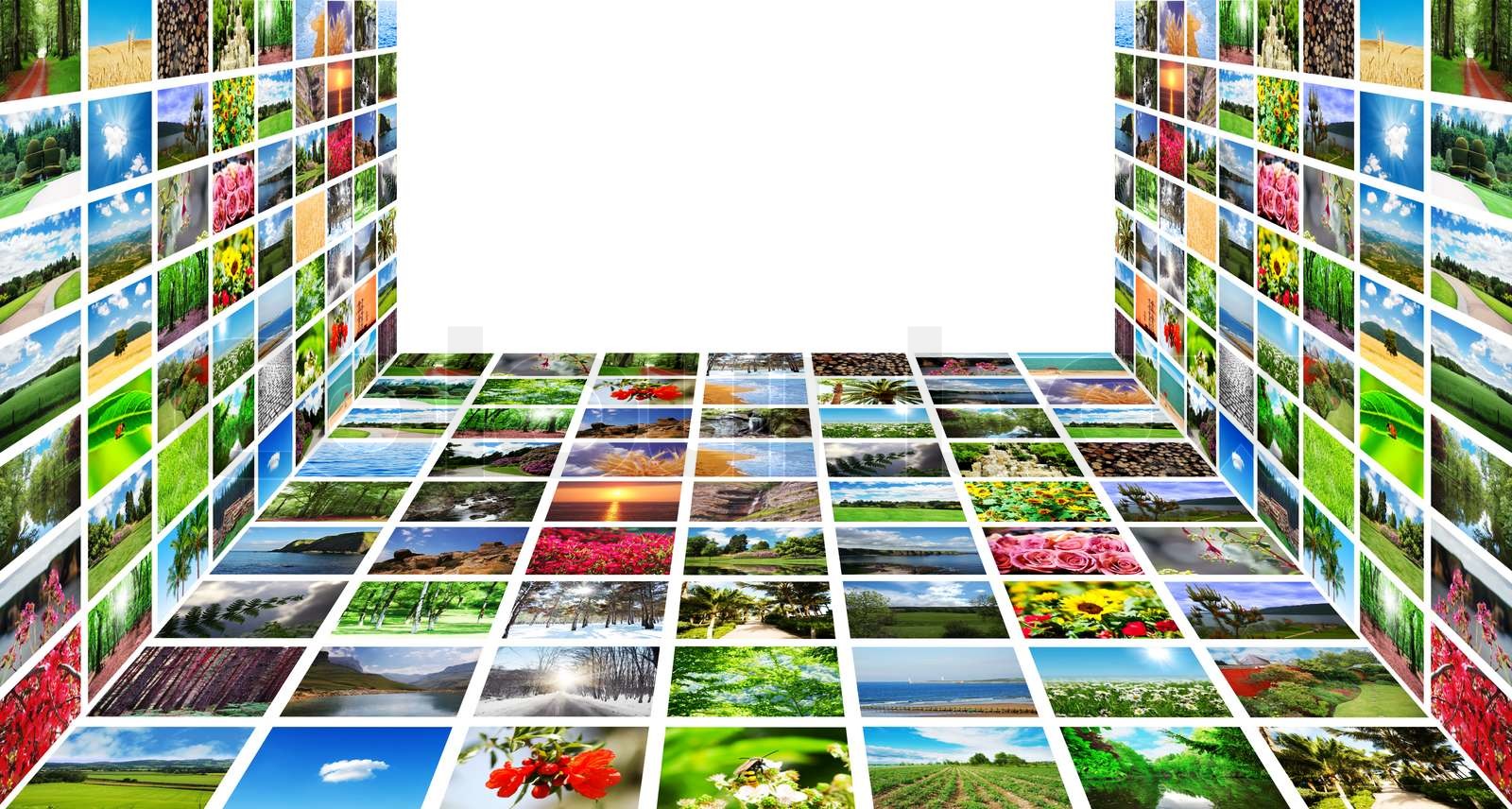 Collage Bild Collage von vielen Naturfotos | Stock Bild | Colourbox