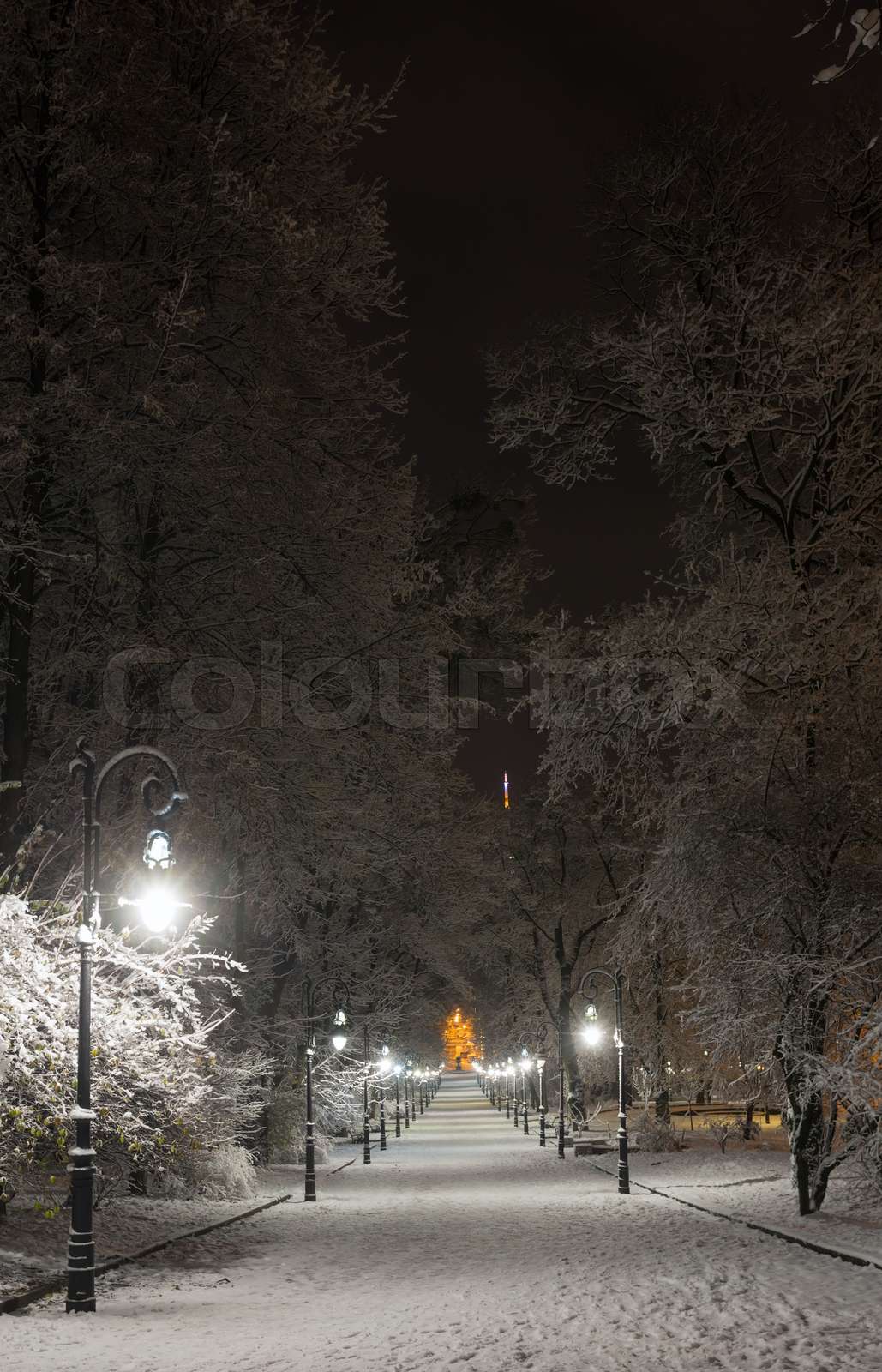 Night winter ivan franko park walkway in lviv ukraine stock image