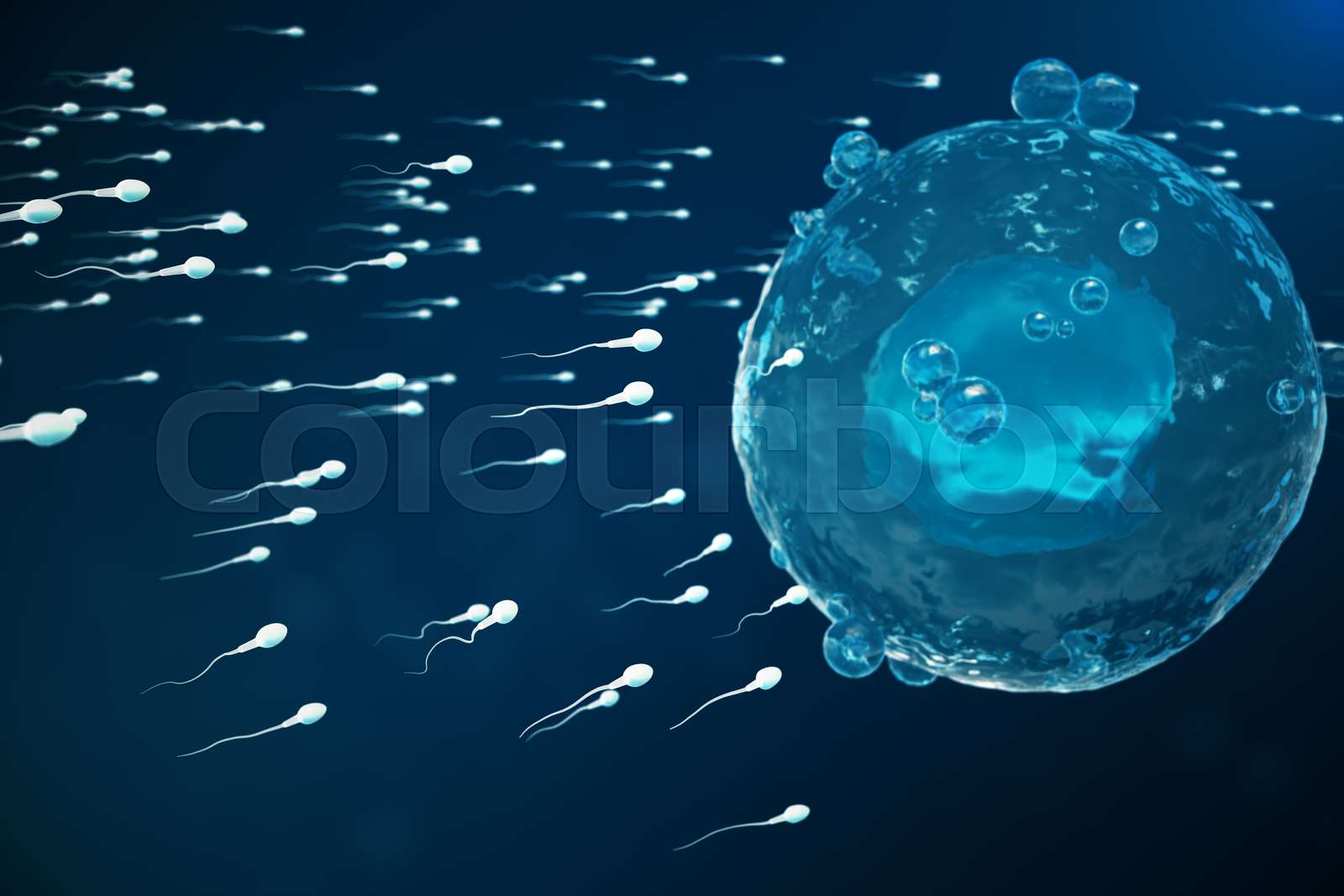 sæd, biologisk, mikroskop | Stock foto | Colourbox