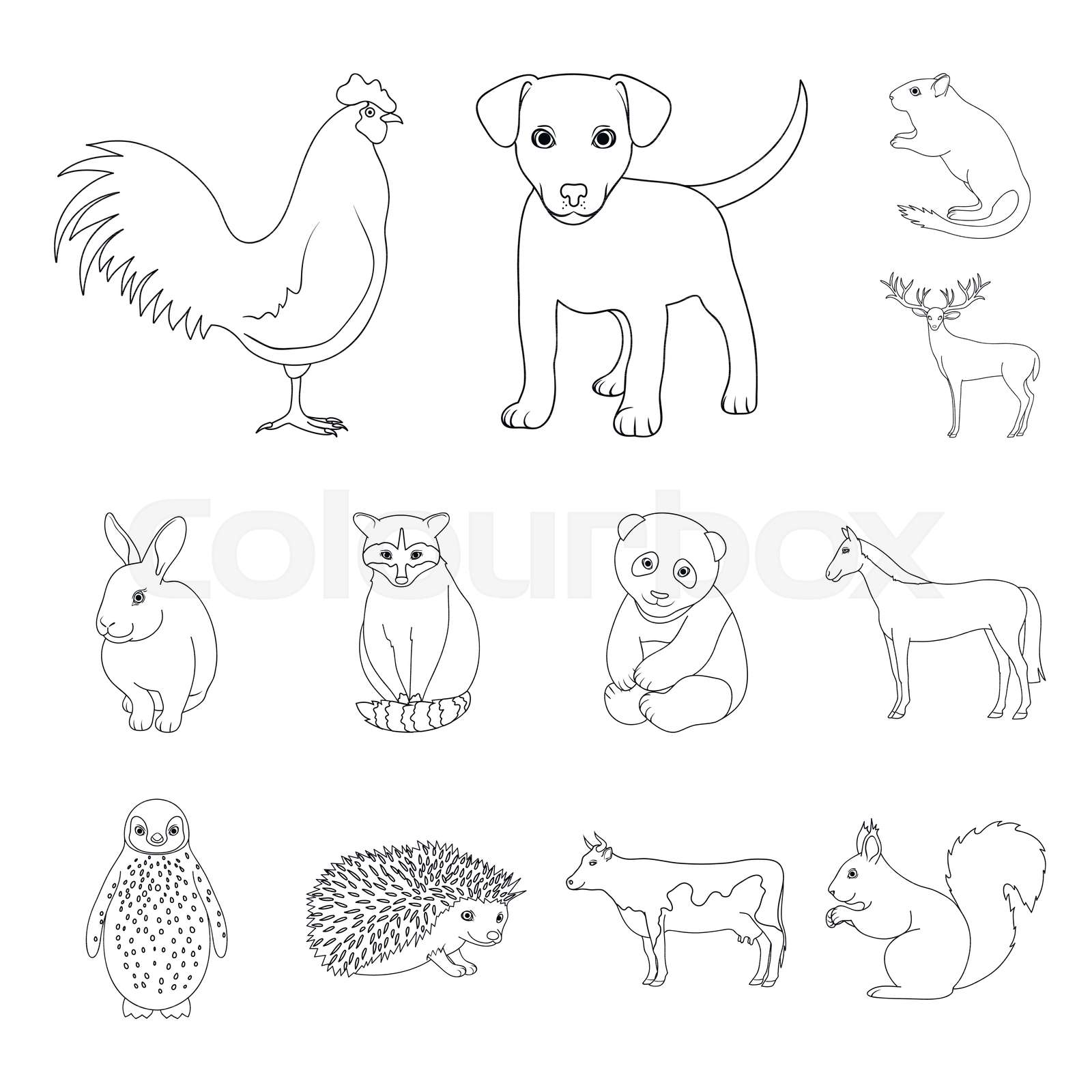 Realistic animals outline icons in set collection for design. Wild and