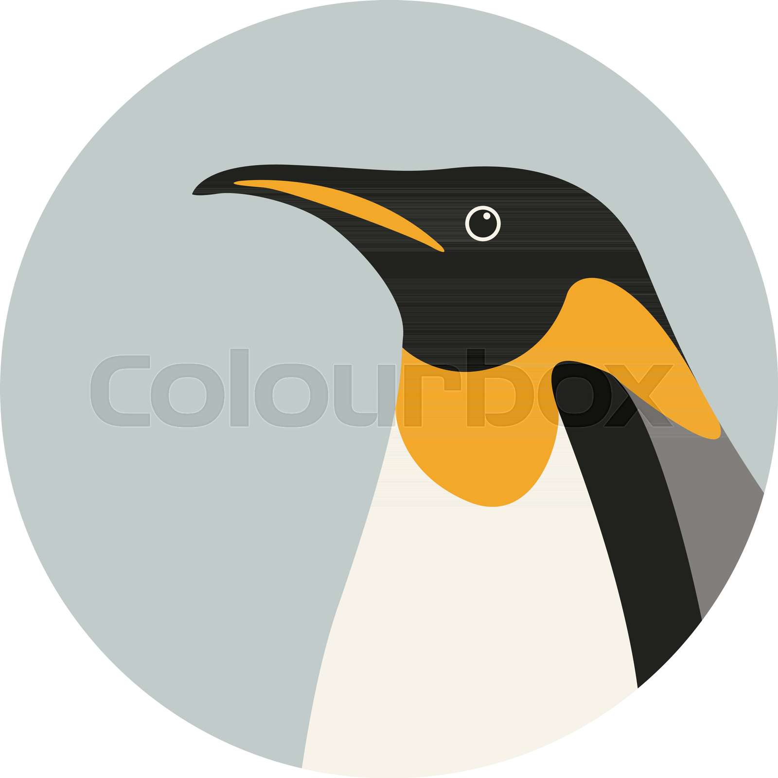 penguin head Stock vector Colourbox