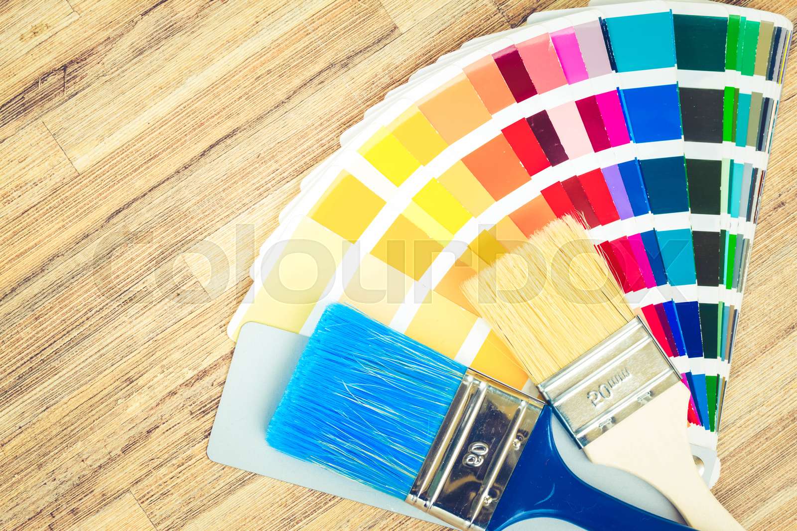 Beautiful view of This Guide Covers Color Palettes