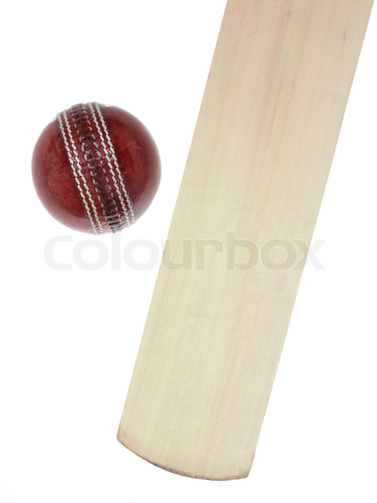 Cricket | Stock foto | Colourbox